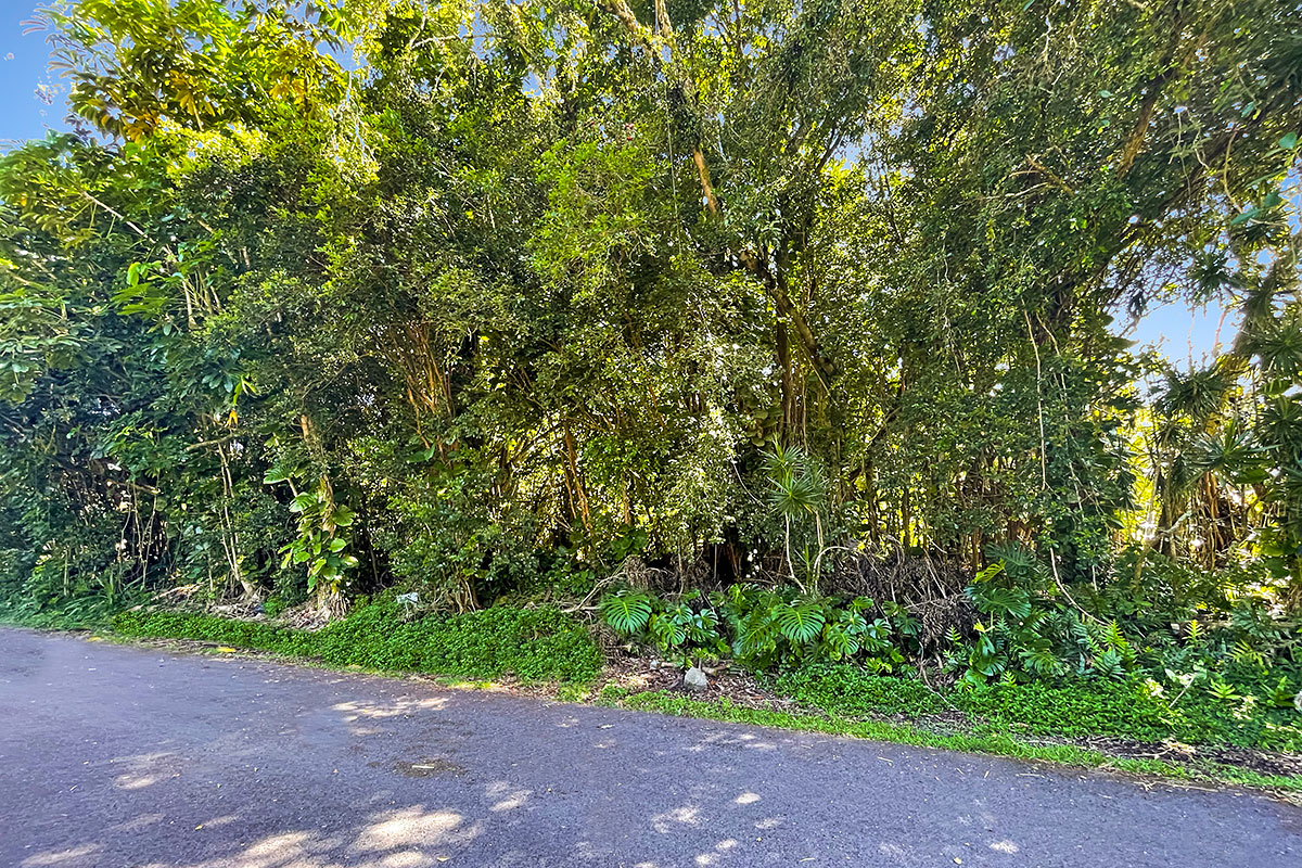 Kumu St Property Photo 15