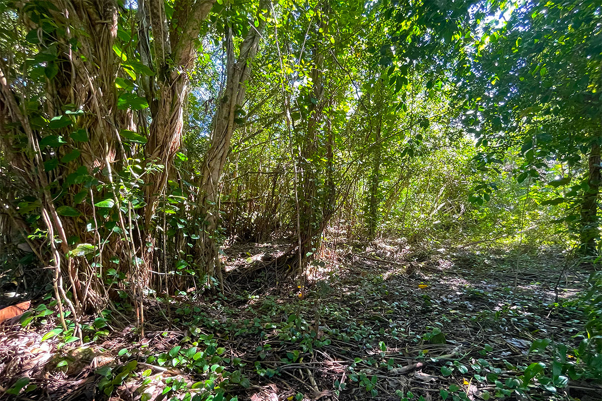 Kumu St Property Photo 17