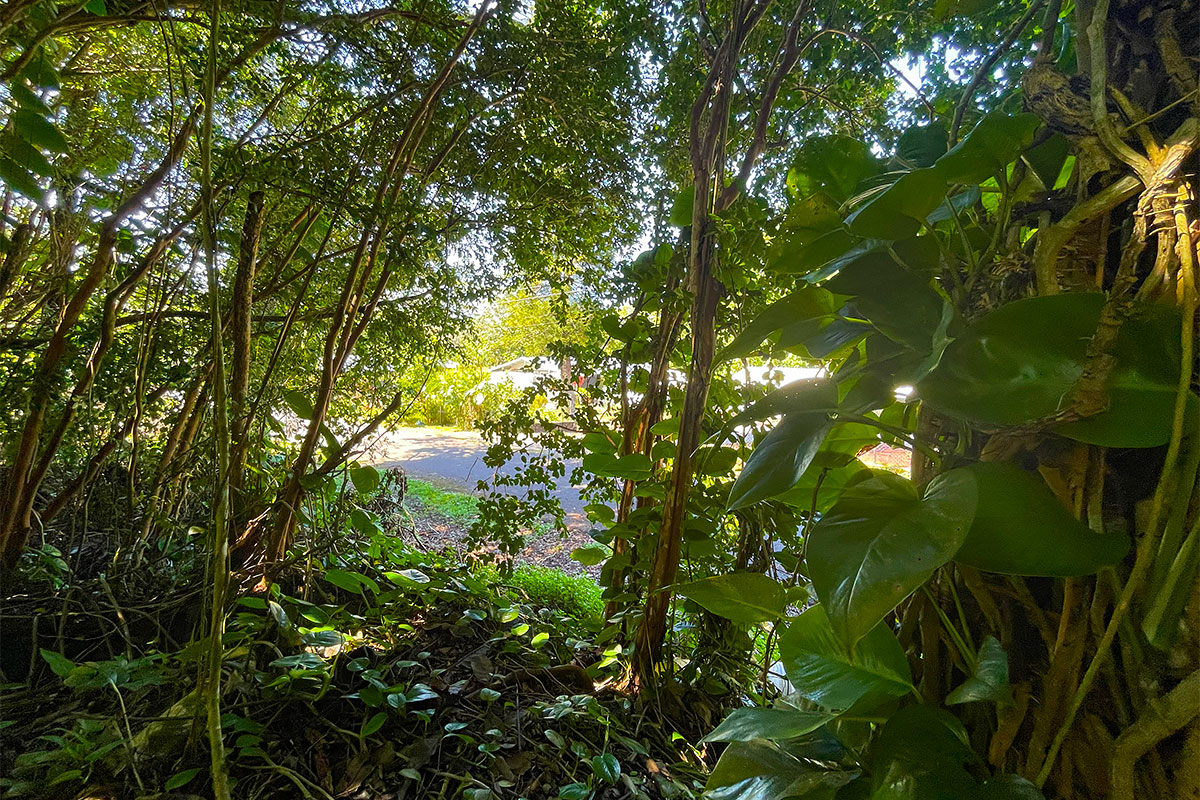 Kumu St Property Photo 21