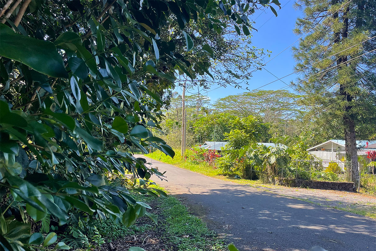 Kumu St Property Photo 23