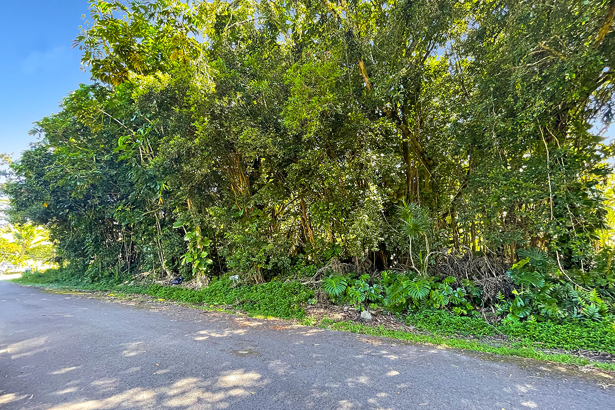 Kumu St Property Photo 24