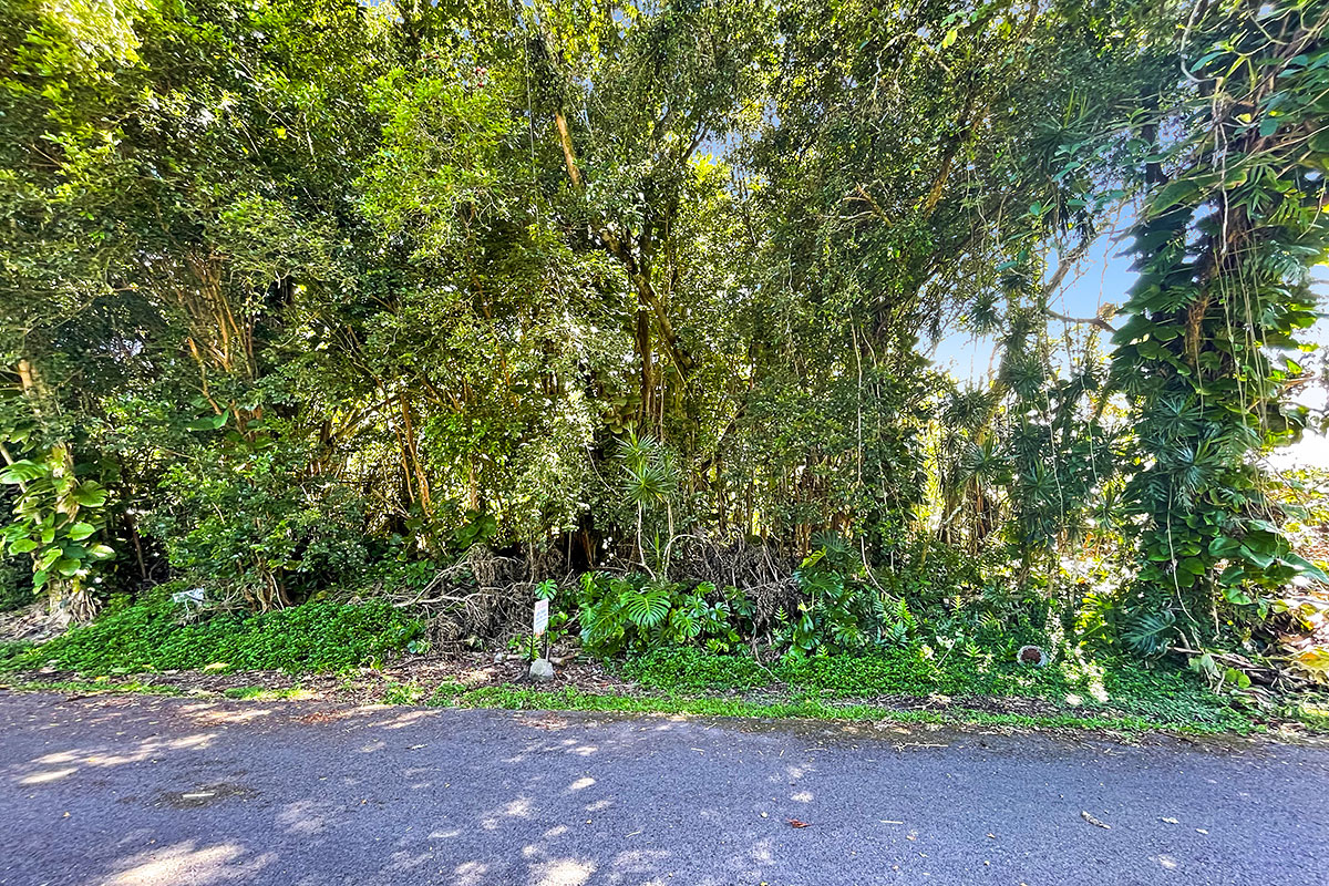 Kumu St Property Photo 25