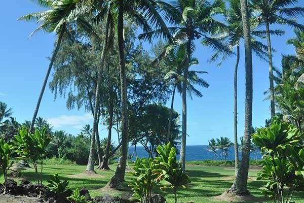 Kumu St Property Photo 28