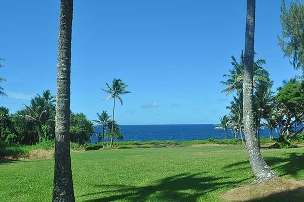 Kumu St Property Photo 29