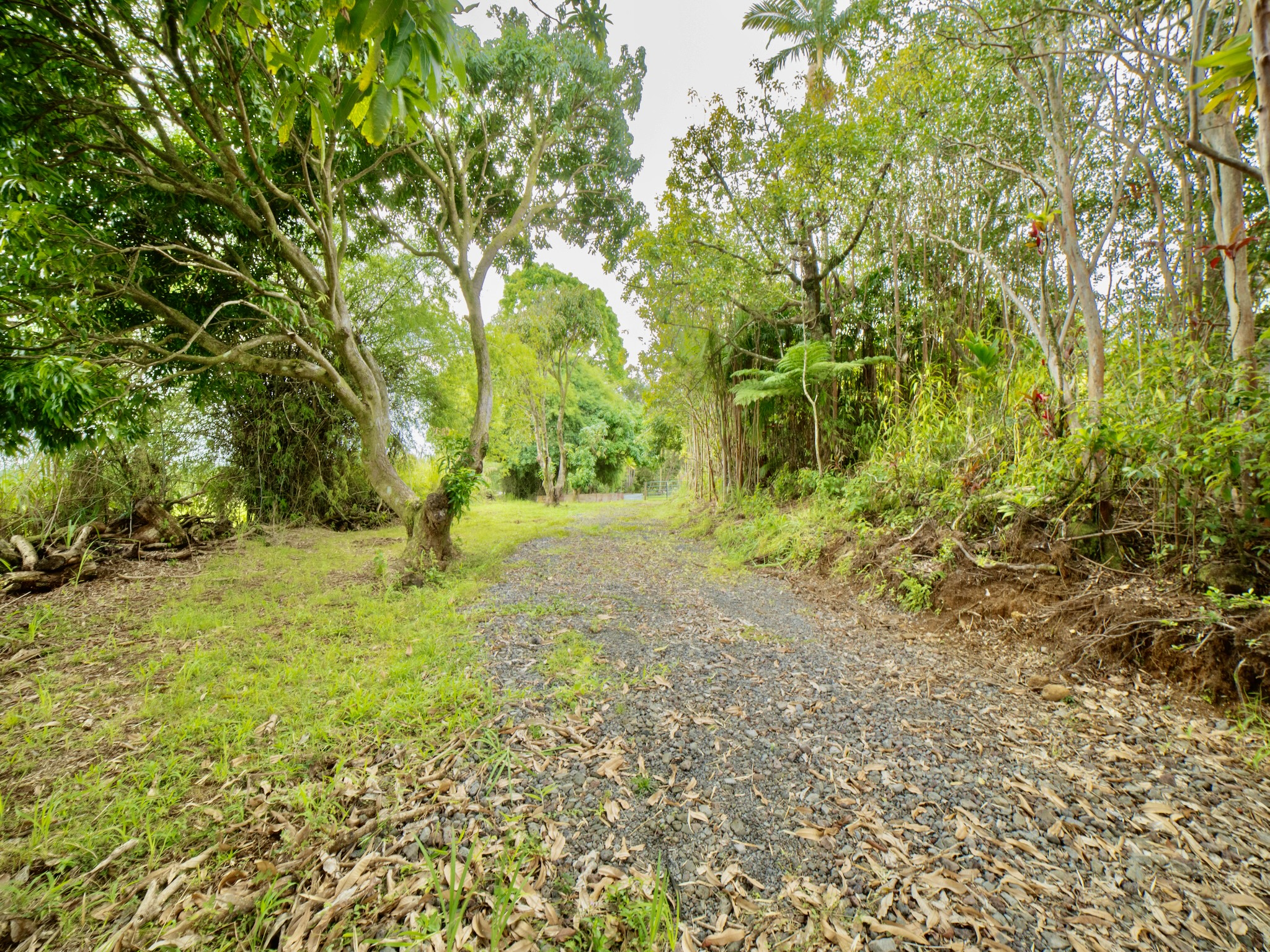 29-509 Chin Chuck Rd Property Photo 25