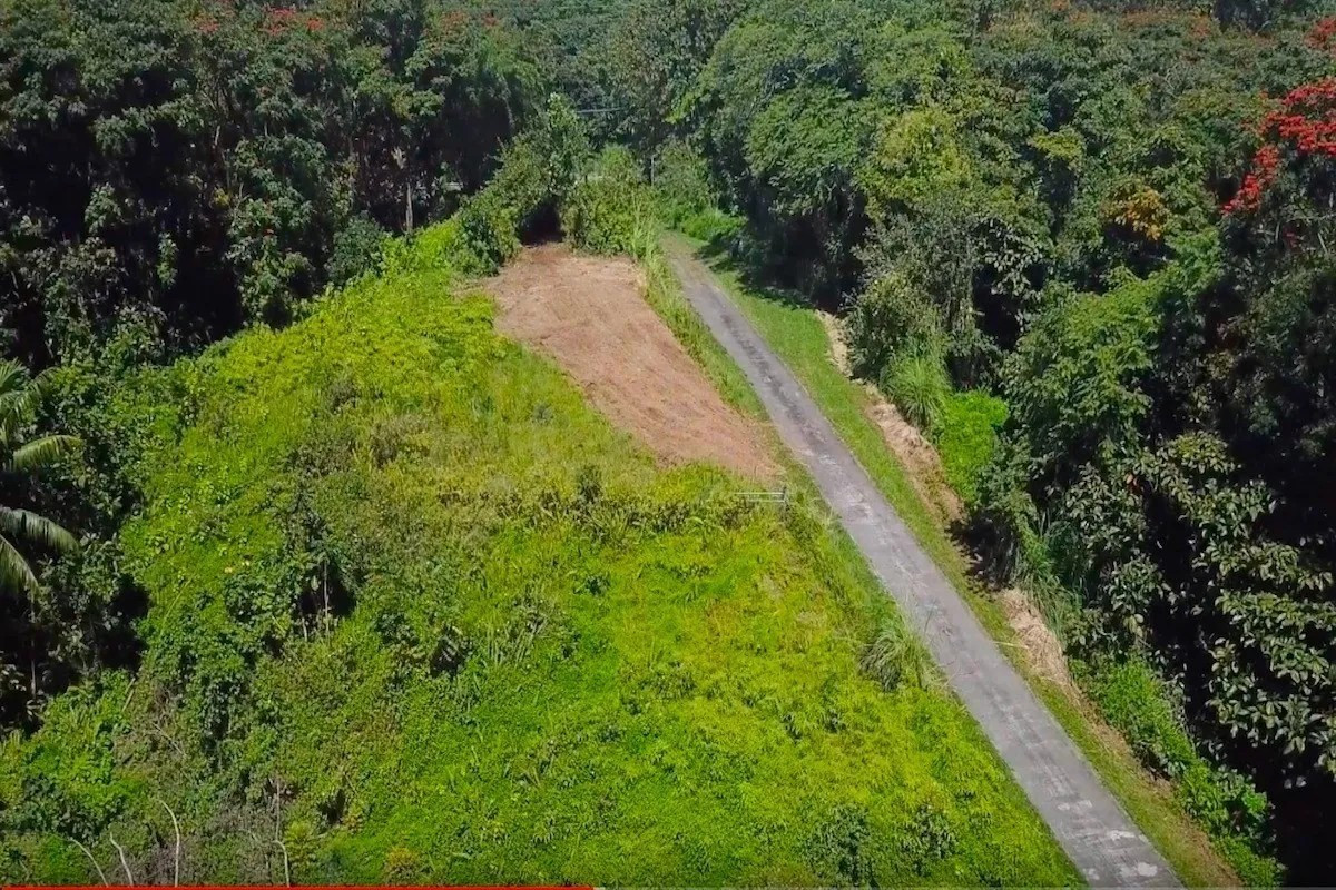 27-2430 Hawaii Belt Rd Property Photo 4