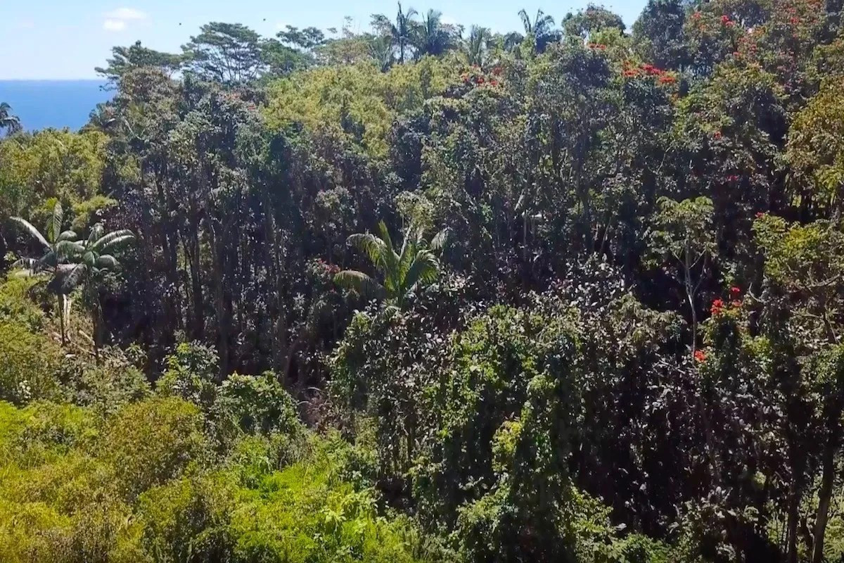 27-2430 Hawaii Belt Rd Property Photo 6