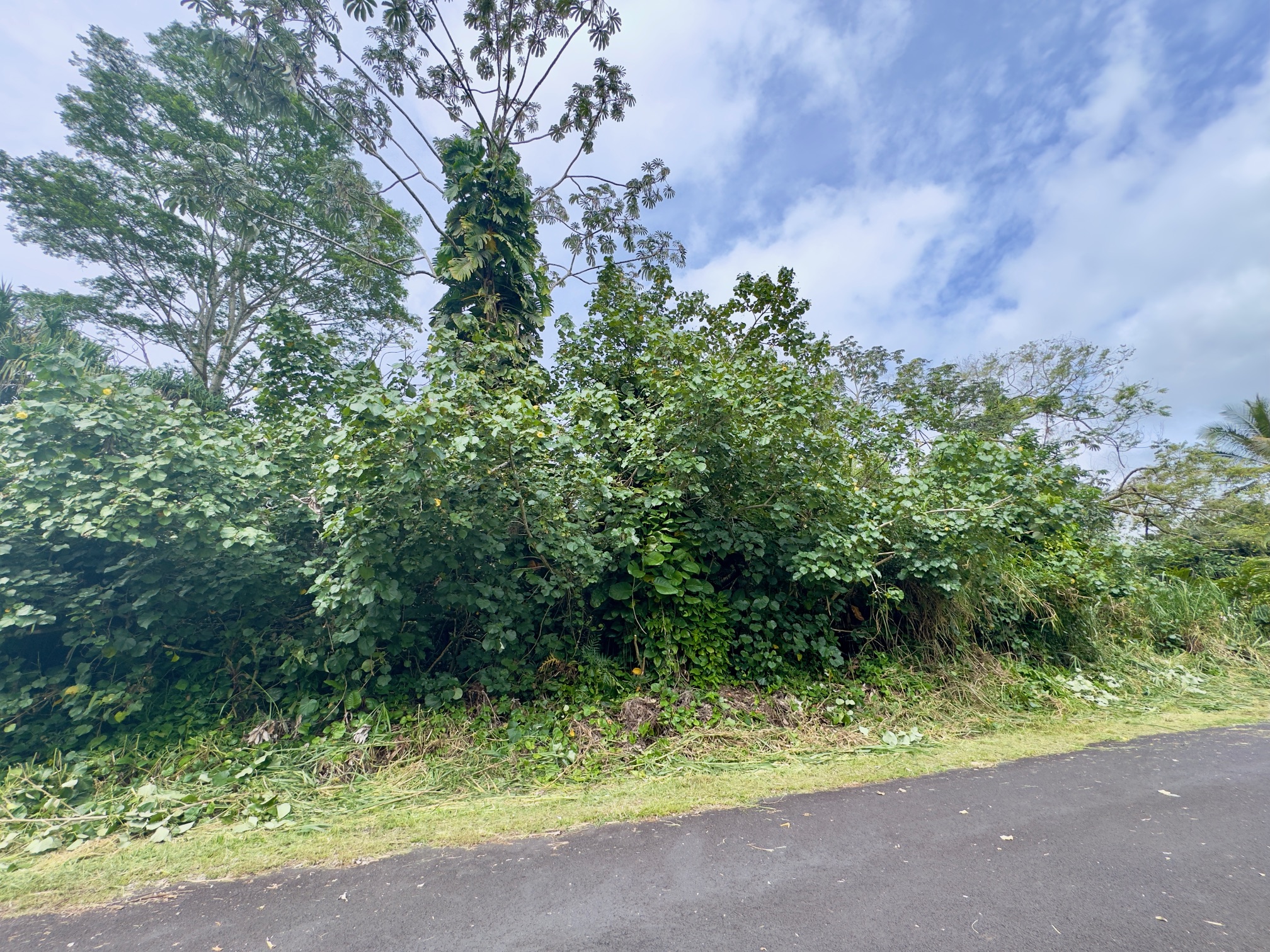 Nenue St Property Photo 2