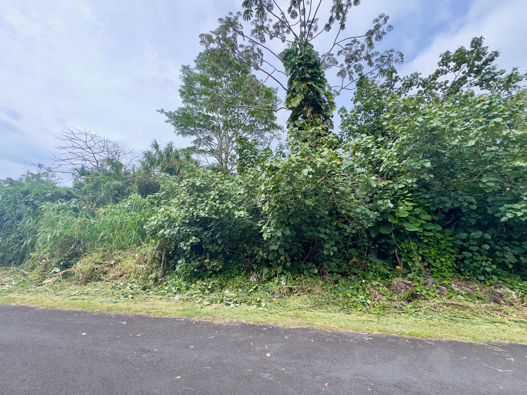 Nenue St Property Photo 3