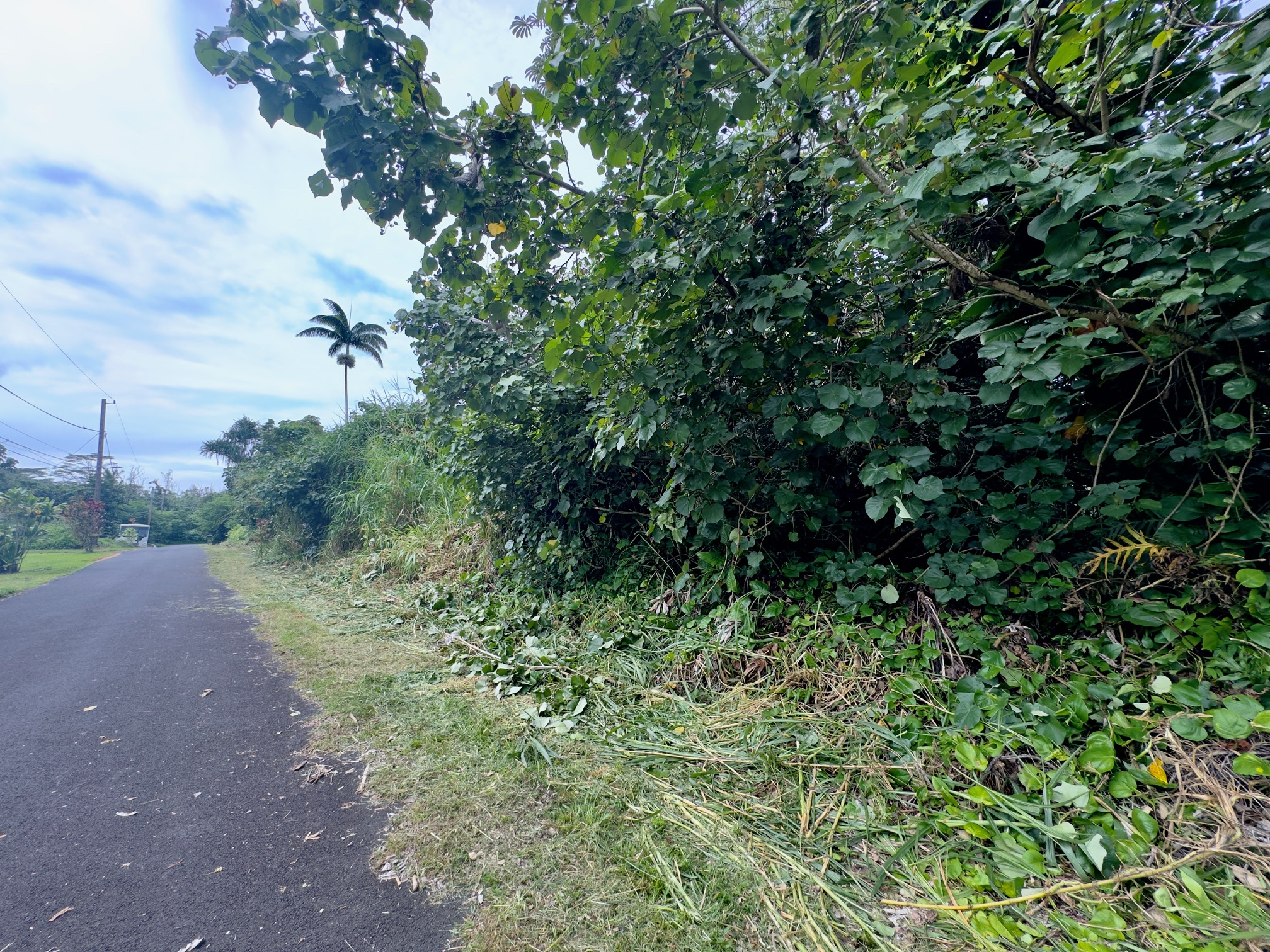 Nenue St Property Photo 5