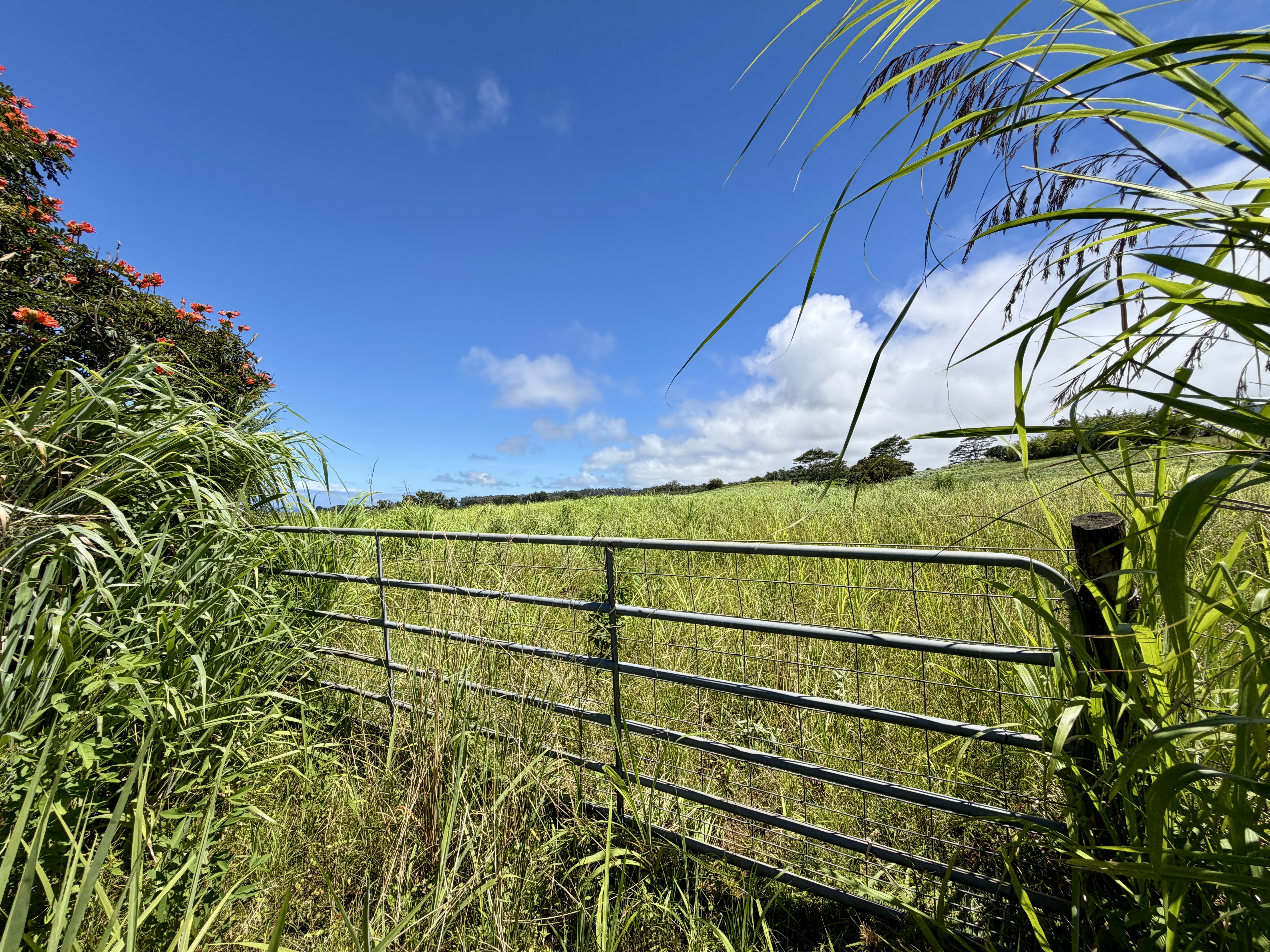 32-195 Piha Kahuku Rd Property Photo 2