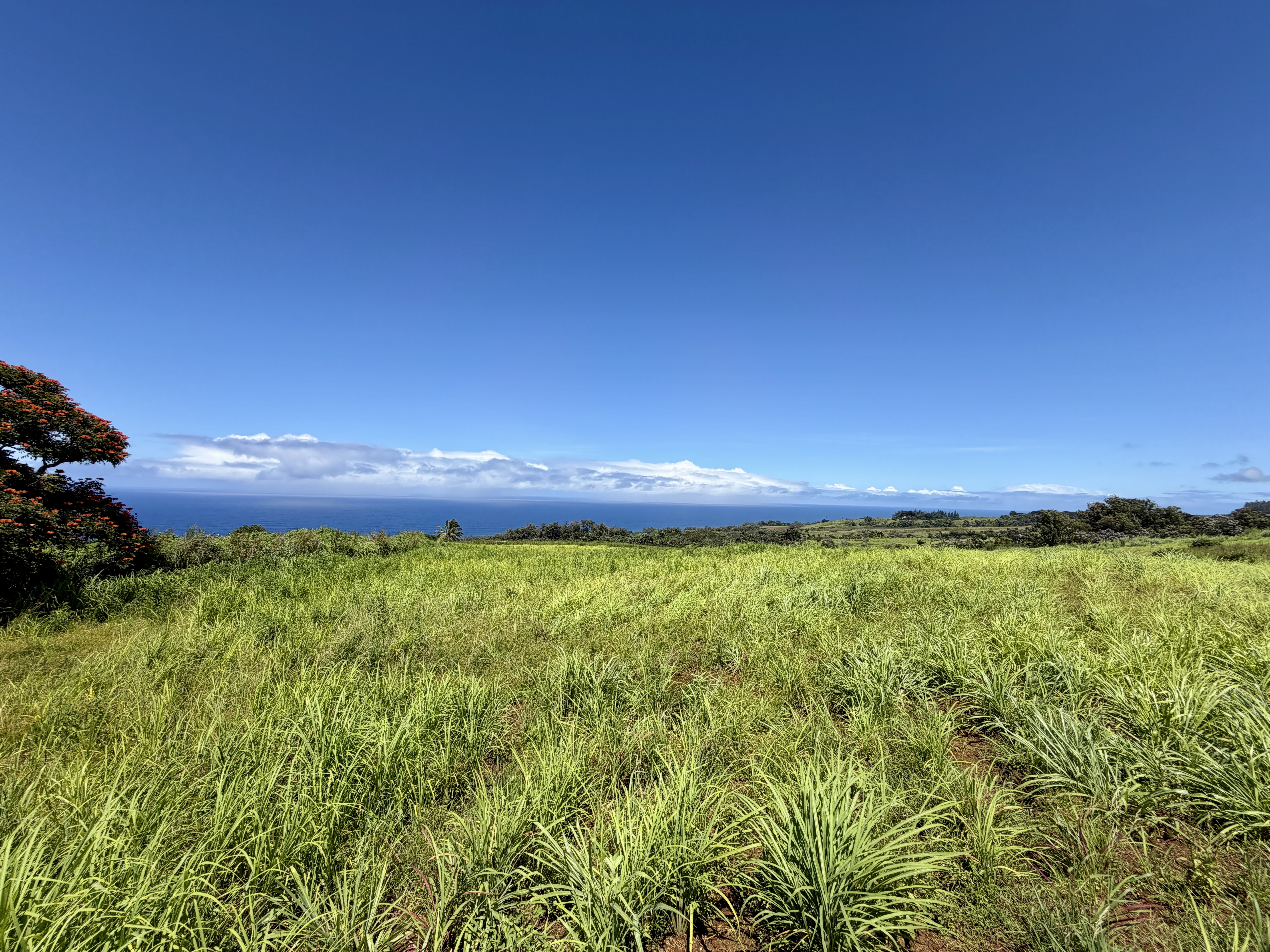 32-195 Piha Kahuku Rd Property Photo 4