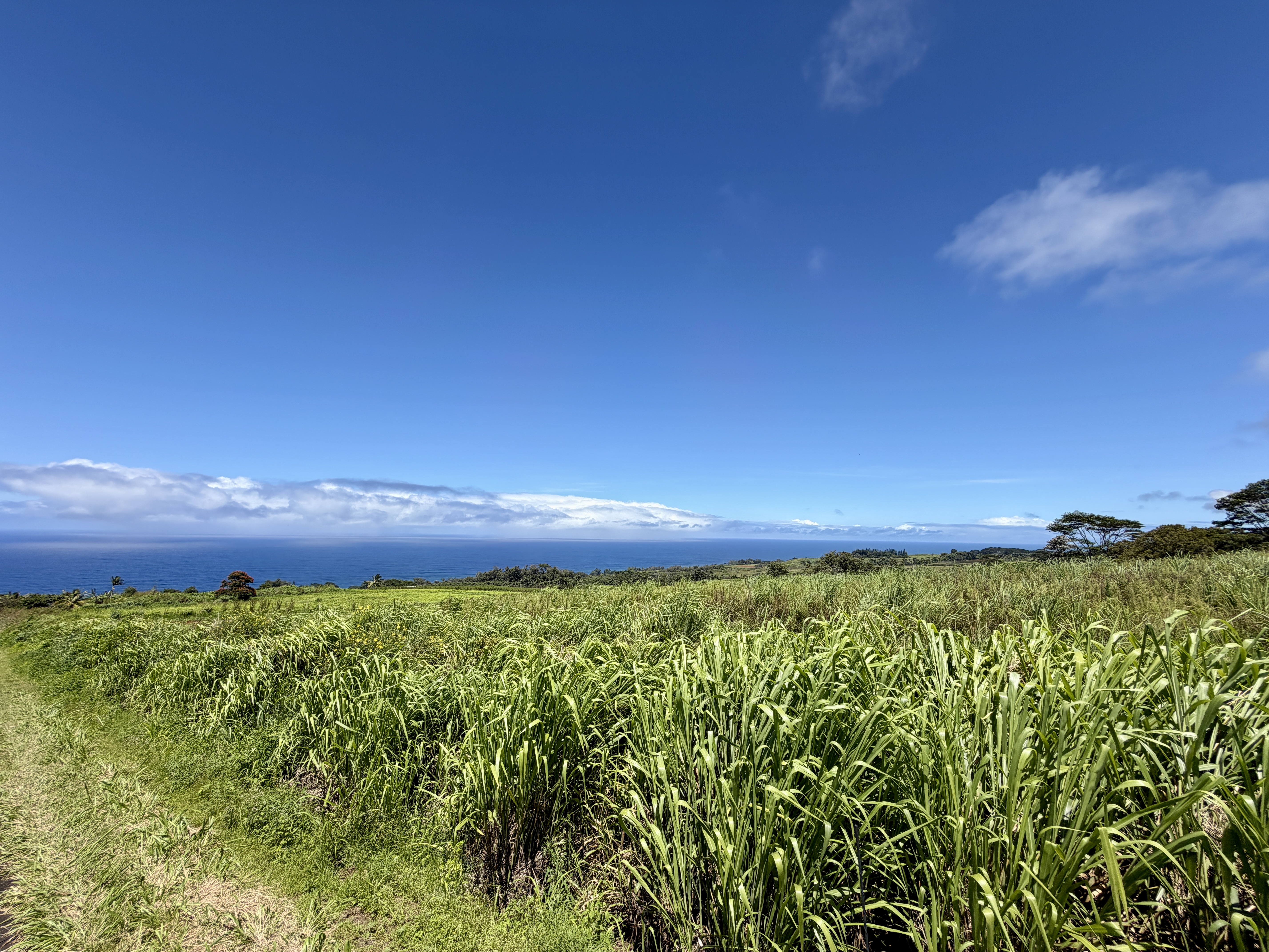 32-195 Piha Kahuku Rd Property Photo 5