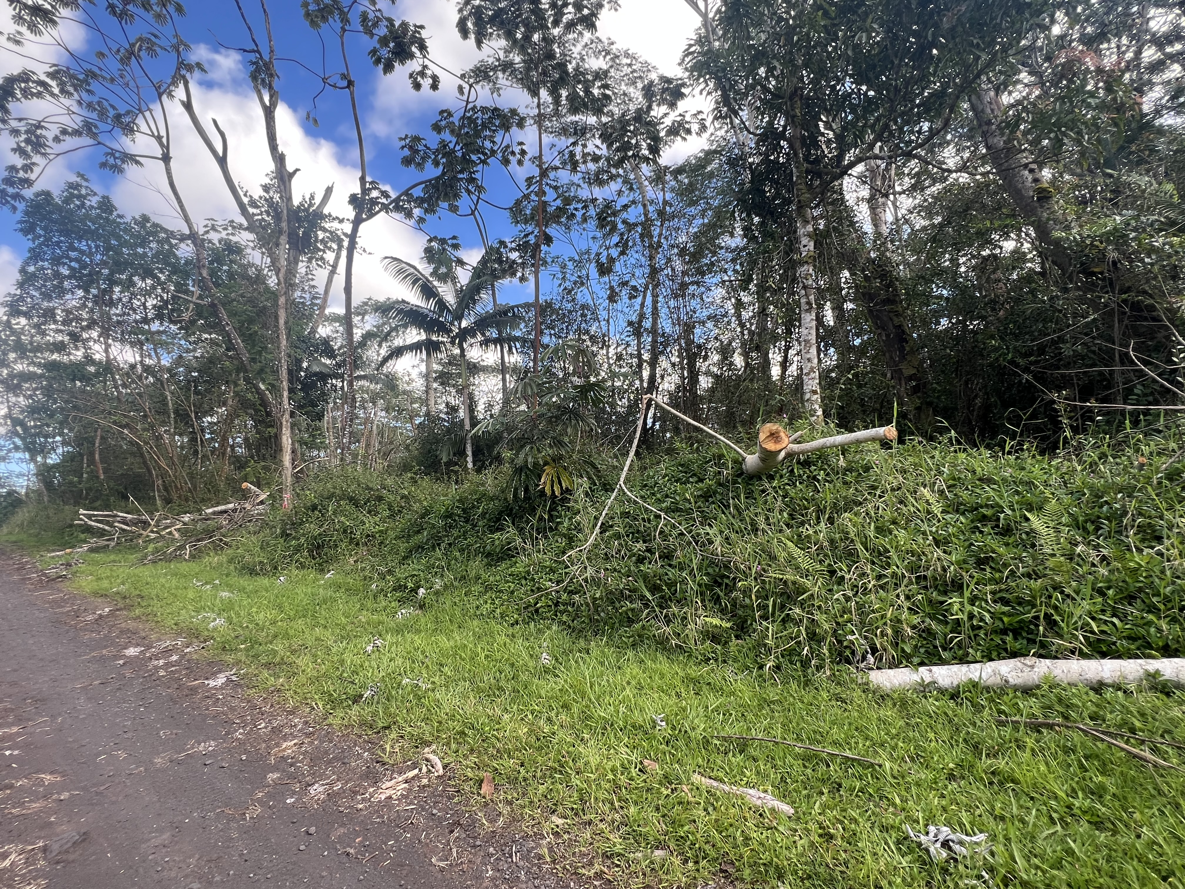 Molokai Rd Property Photo 5