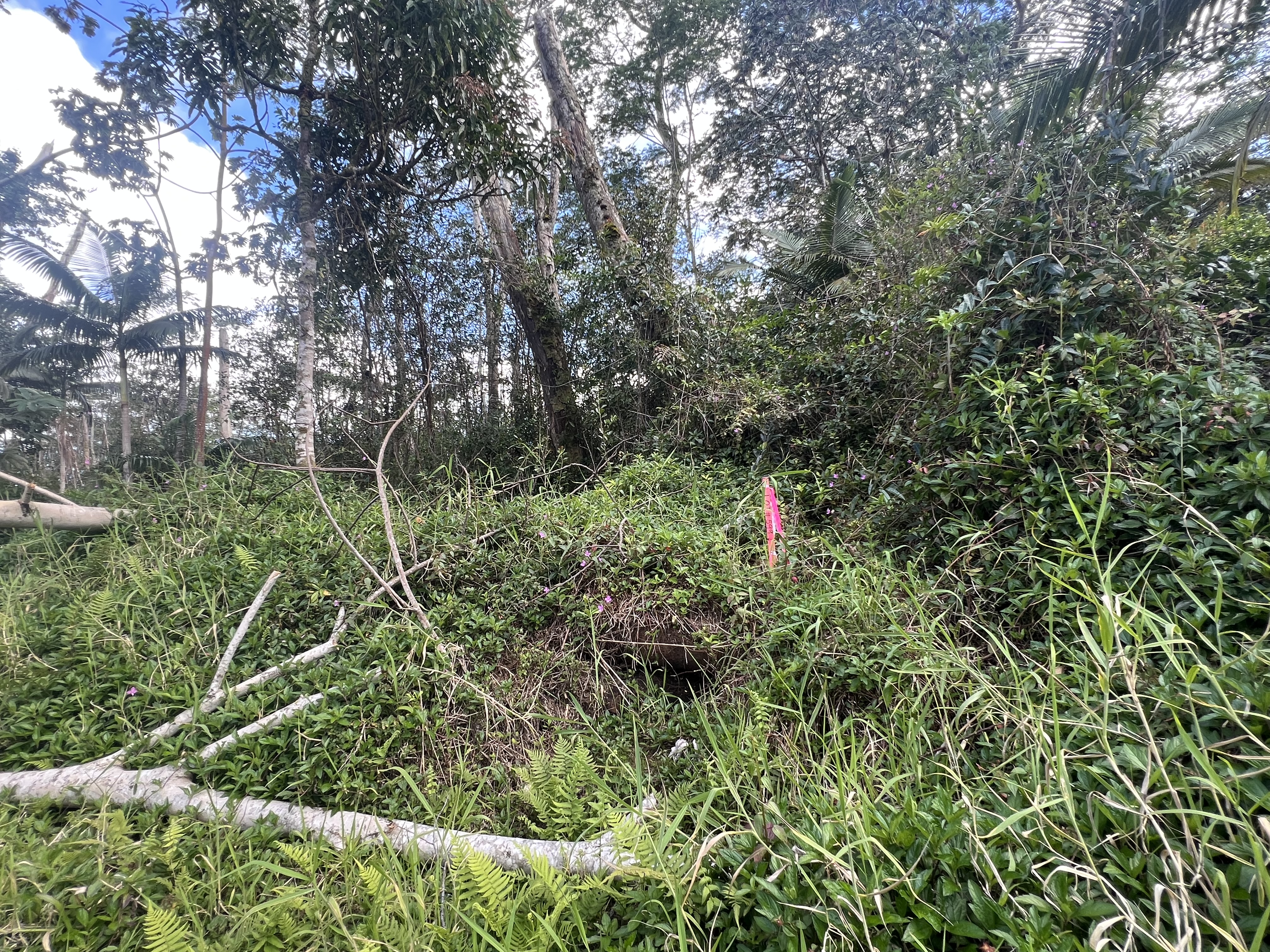 Molokai Rd Property Photo 5