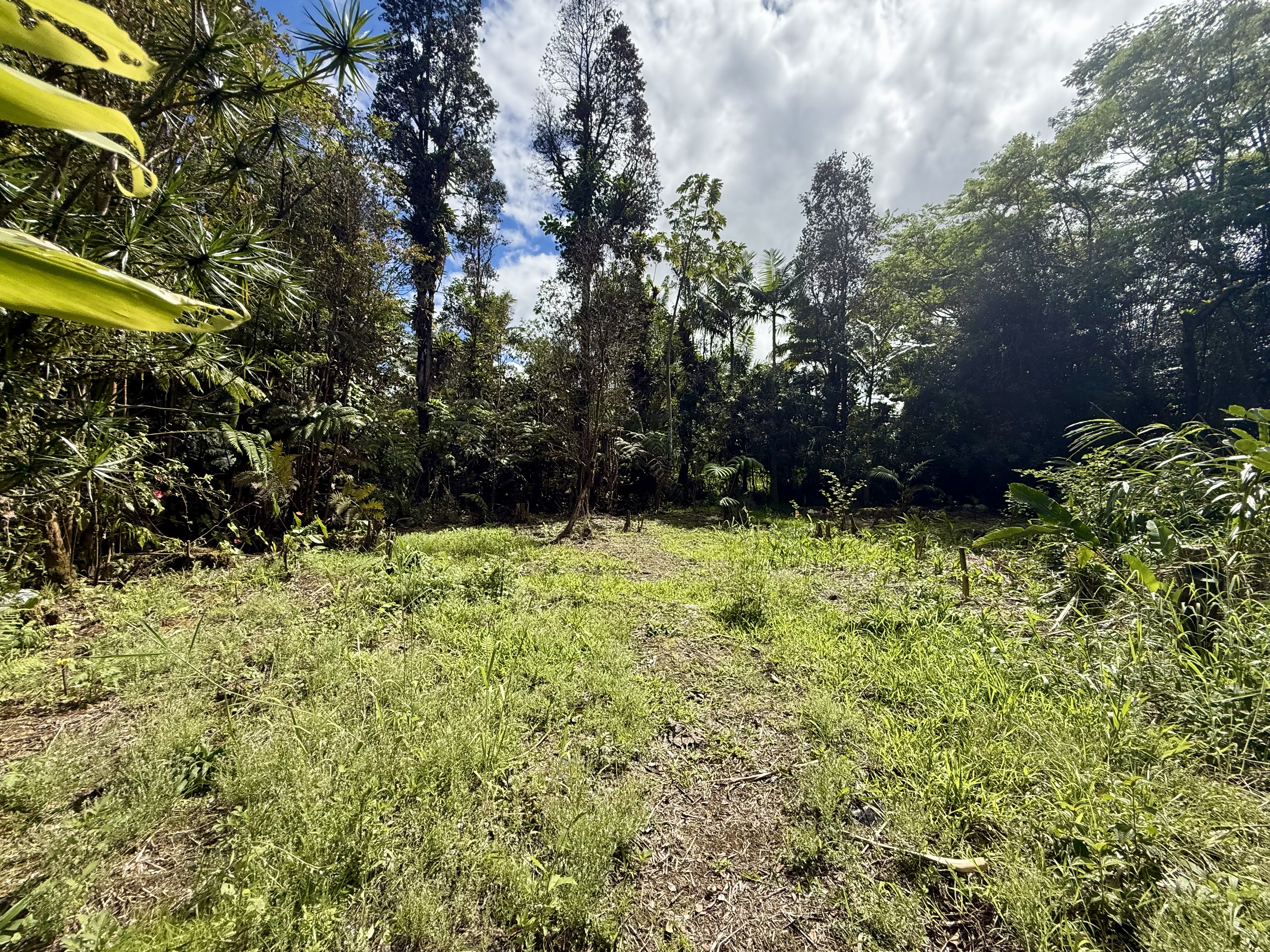 17-1070 Nailima Road Property Photo 8