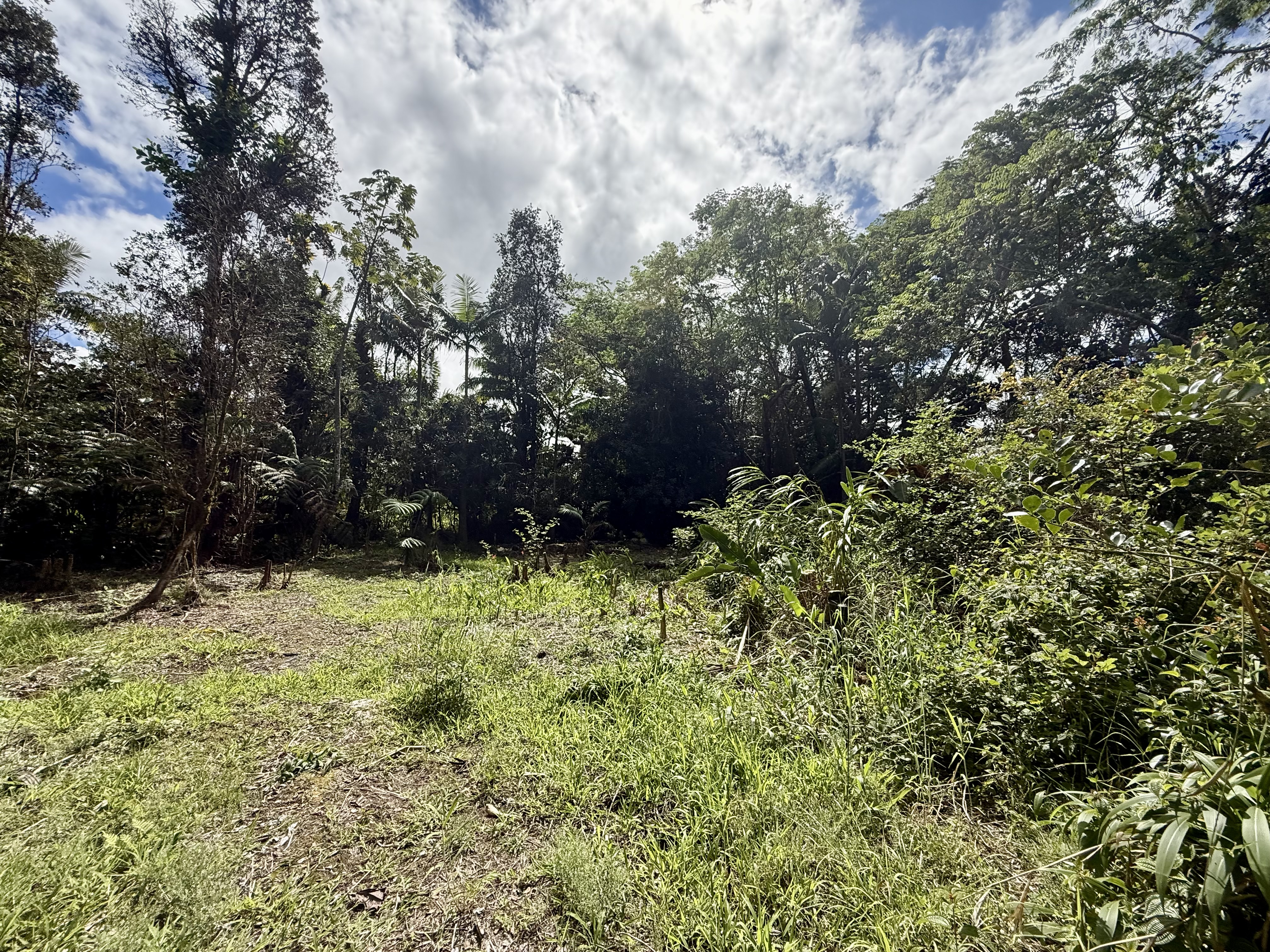 17-1070 Nailima Road Property Photo 9