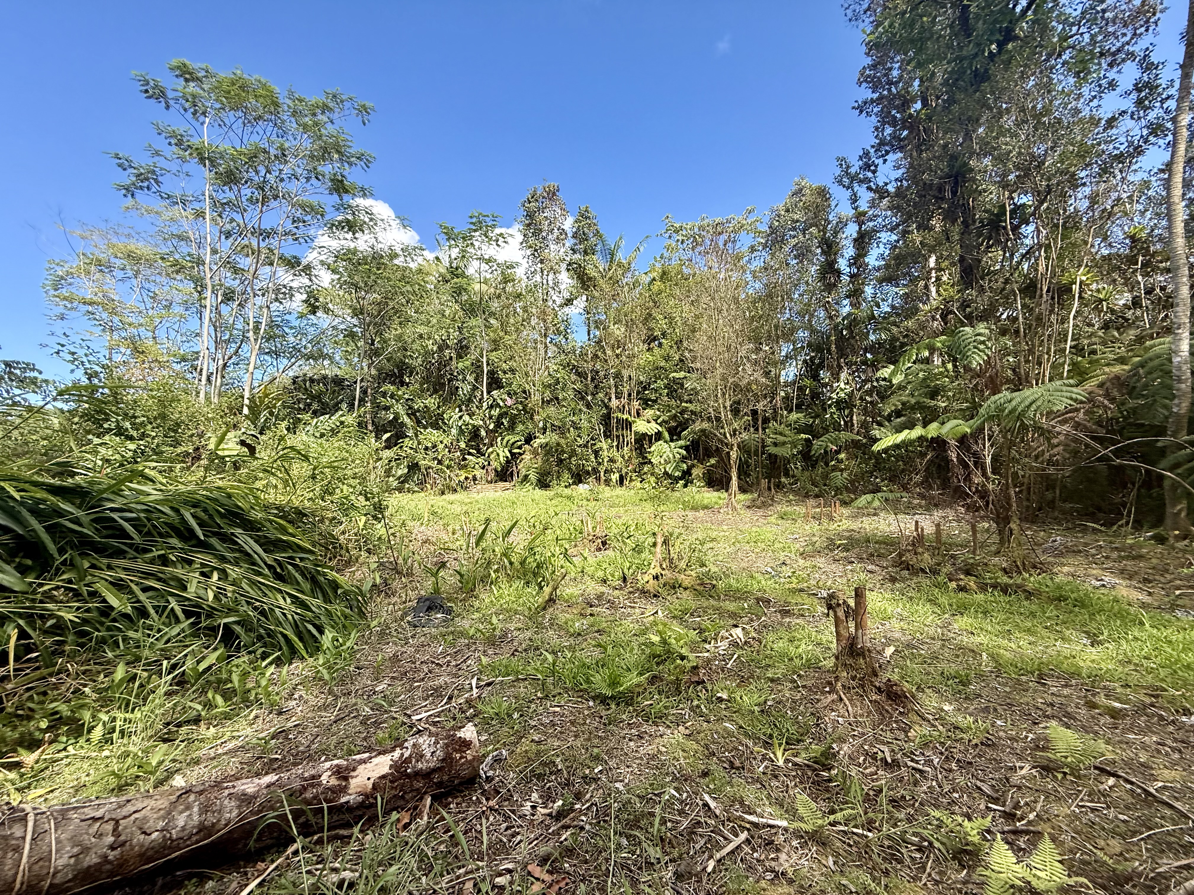 17-1070 Nailima Road Property Photo 11