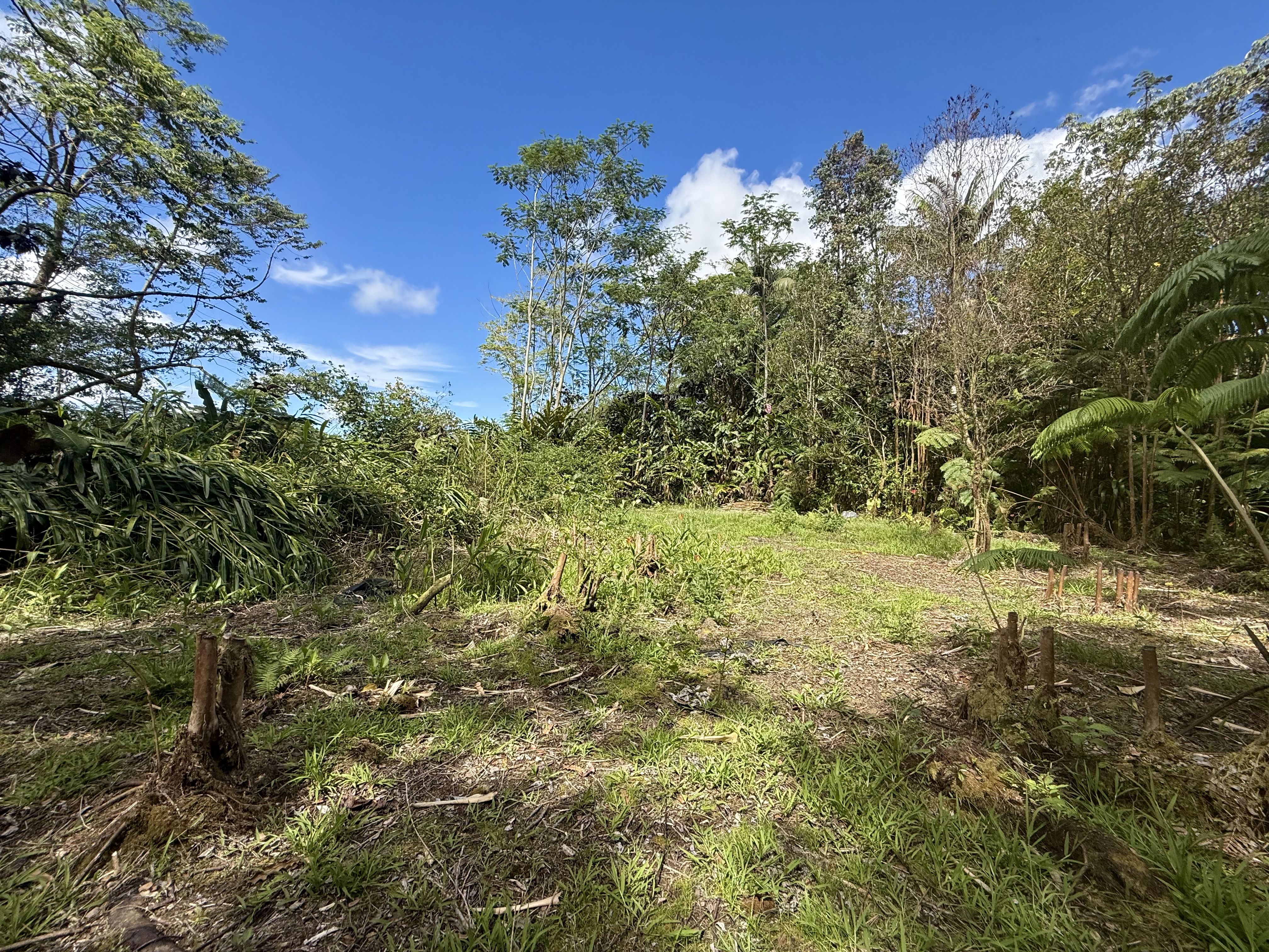 17-1070 Nailima Road Property Photo 15