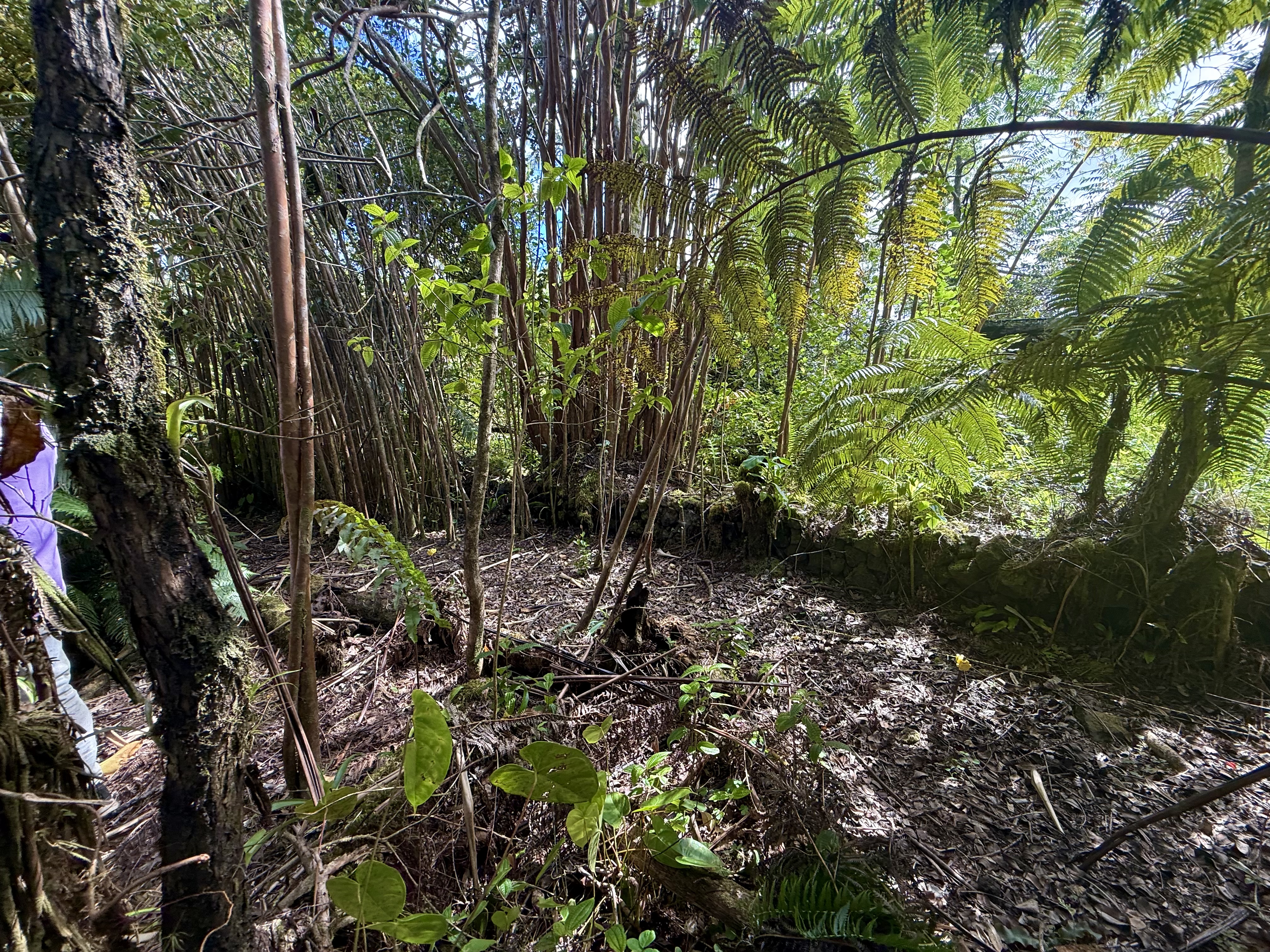 17-1070 Nailima Road Property Photo 17