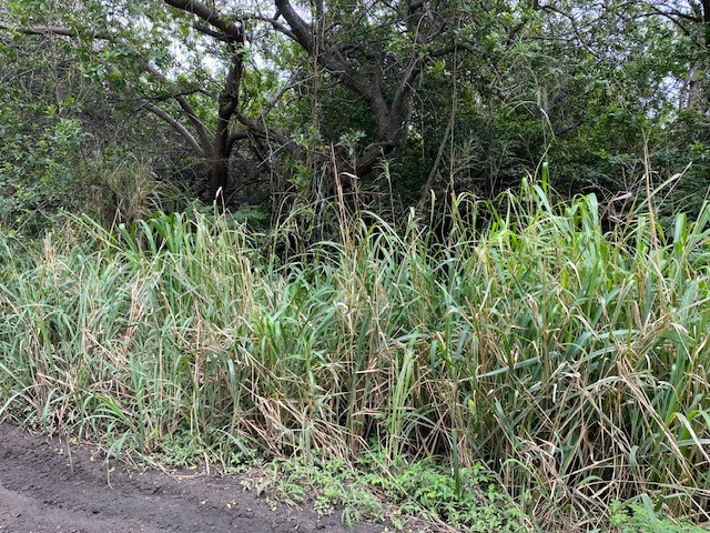 Kekuhaupio Rd Property Photo 2