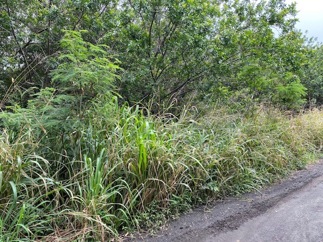 Kekuhaupio Rd Property Photo 3