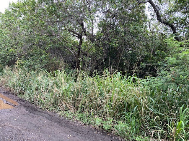 Kekuhaupio Rd Property Photo 5