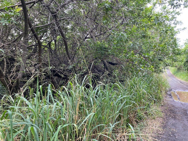 Kekuhaupio Rd Property Photo 6