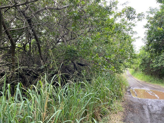 Kekuhaupio Rd Property Photo 7