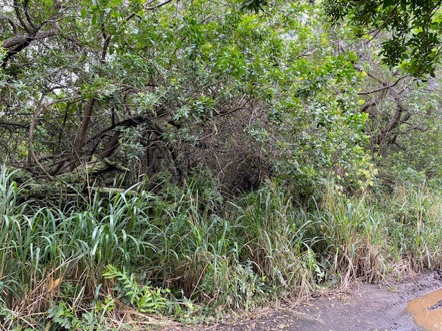 Kekuhaupio Rd Property Photo 8