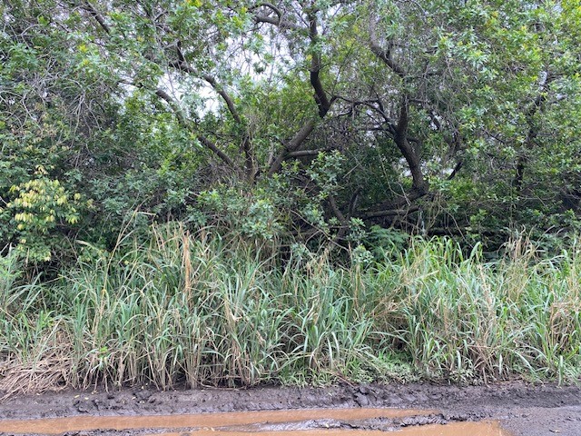 Kekuhaupio Rd Property Photo 9