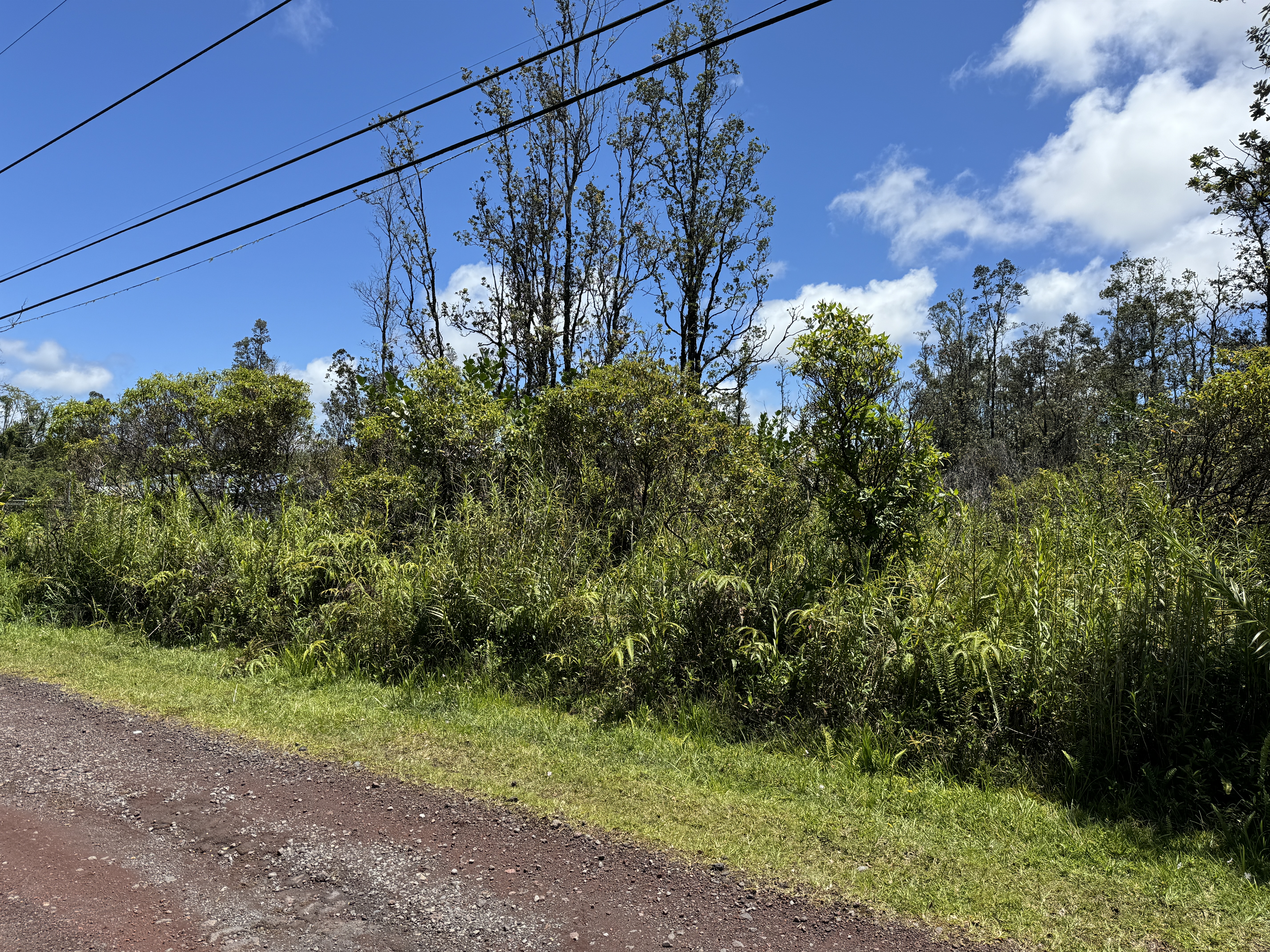 Plumeria Dr Lot 65 Property Photo 1