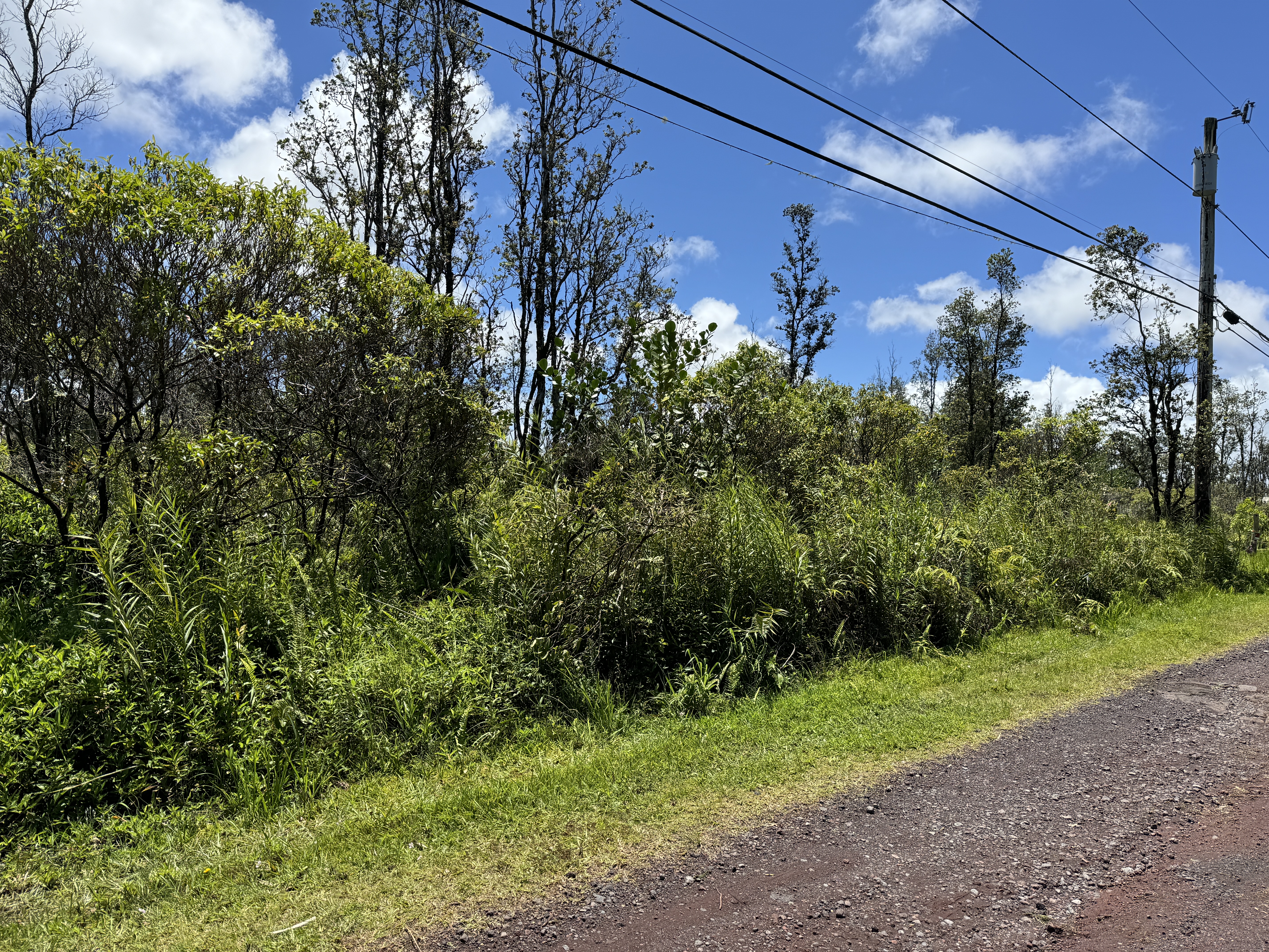 Plumeria Dr Lot 65 Property Photo 3