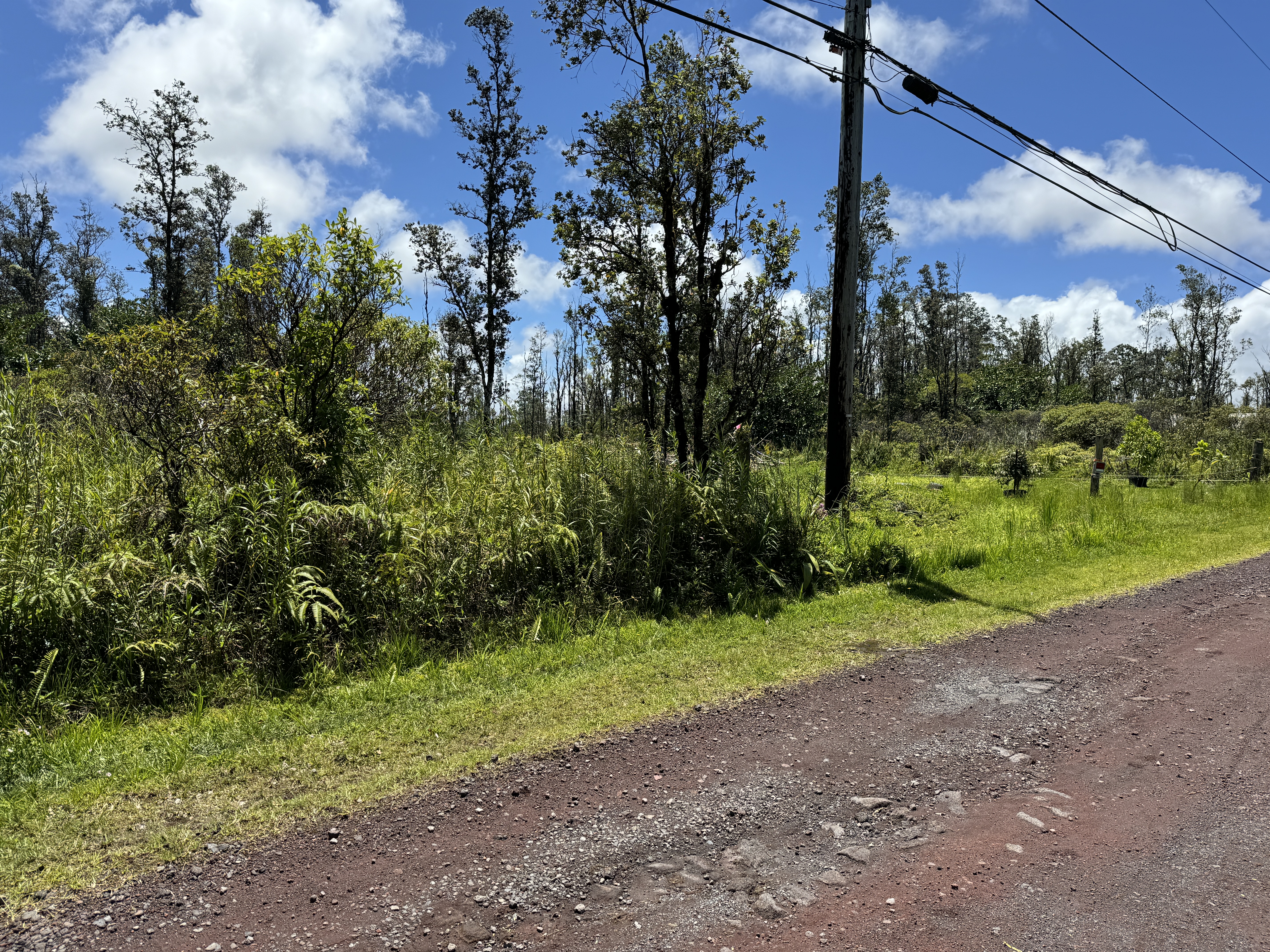 Plumeria Dr Lot 65 Property Photo 4