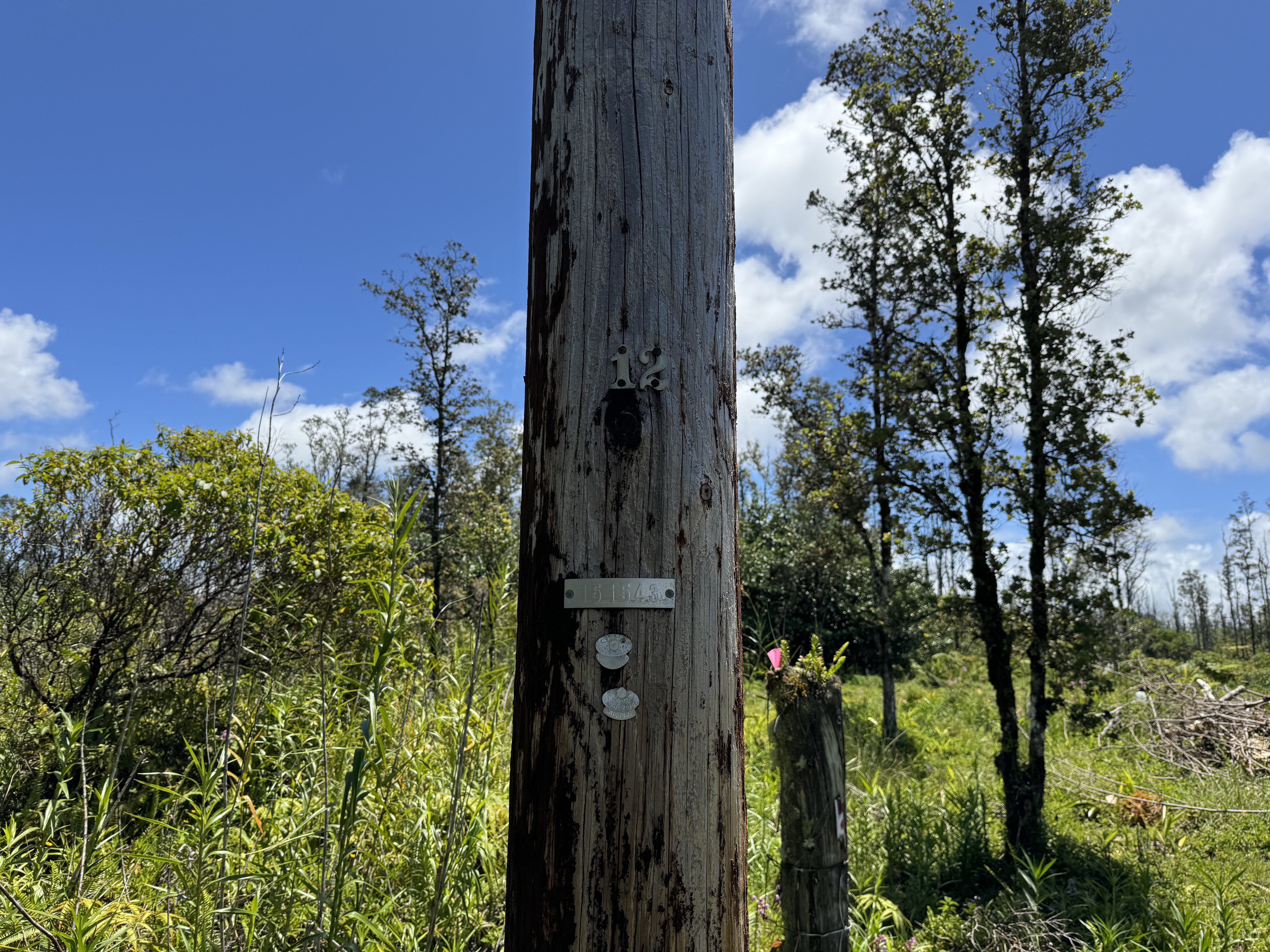 Plumeria Dr Lot 65 Property Photo 5