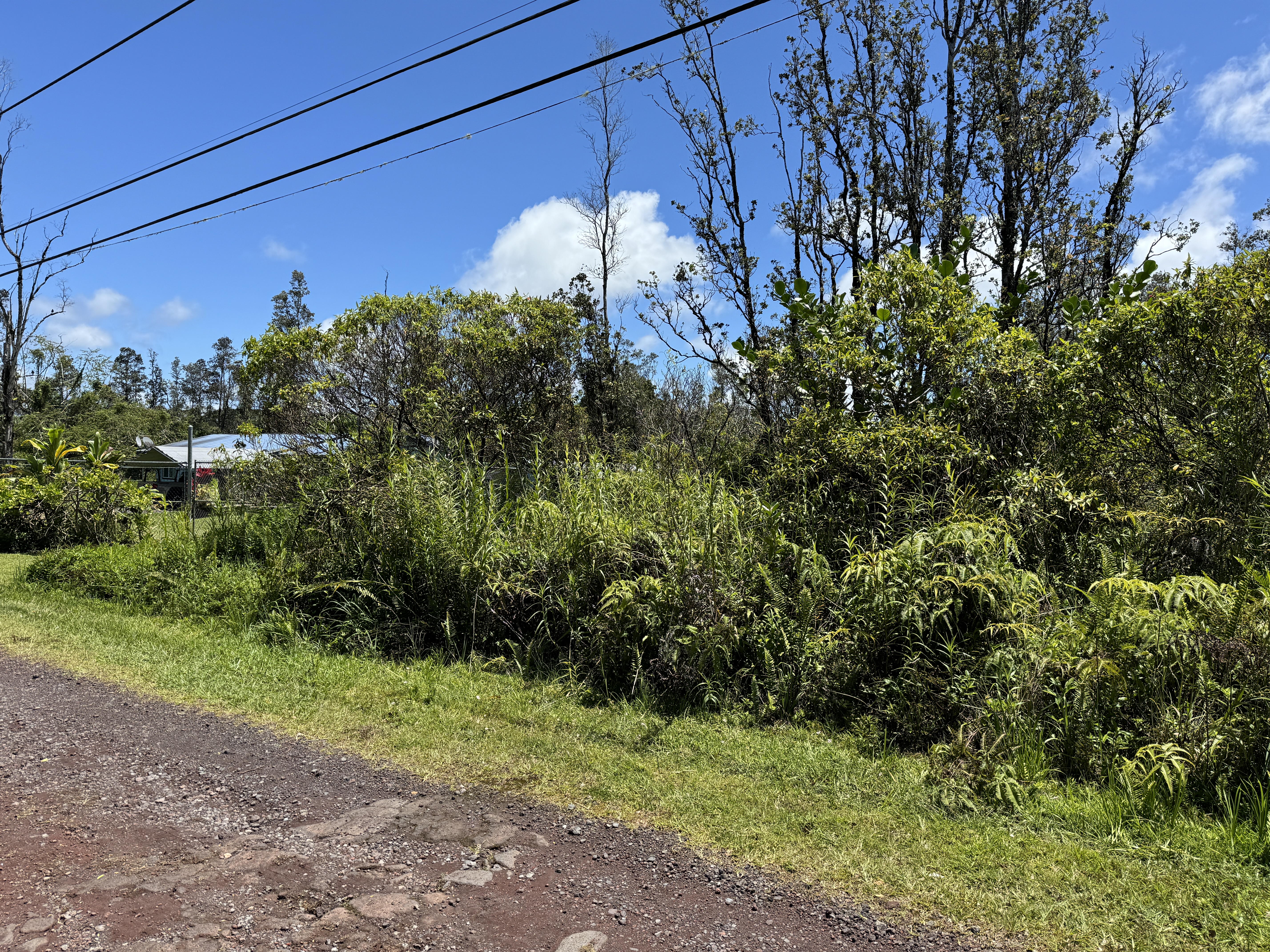 Plumeria Dr Lot 65 Property Photo 10