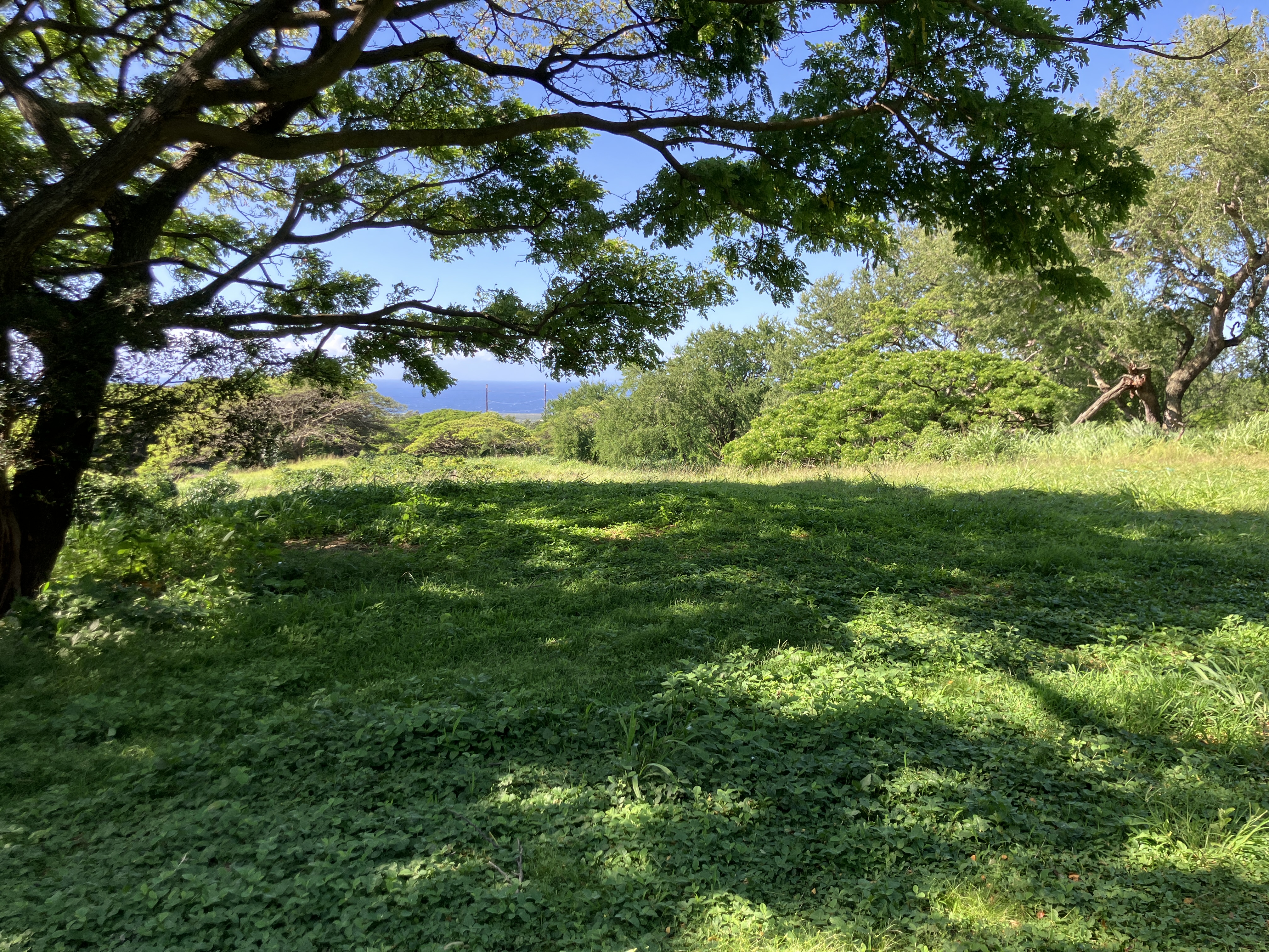 96-2951 Paauau St Property Photo 7