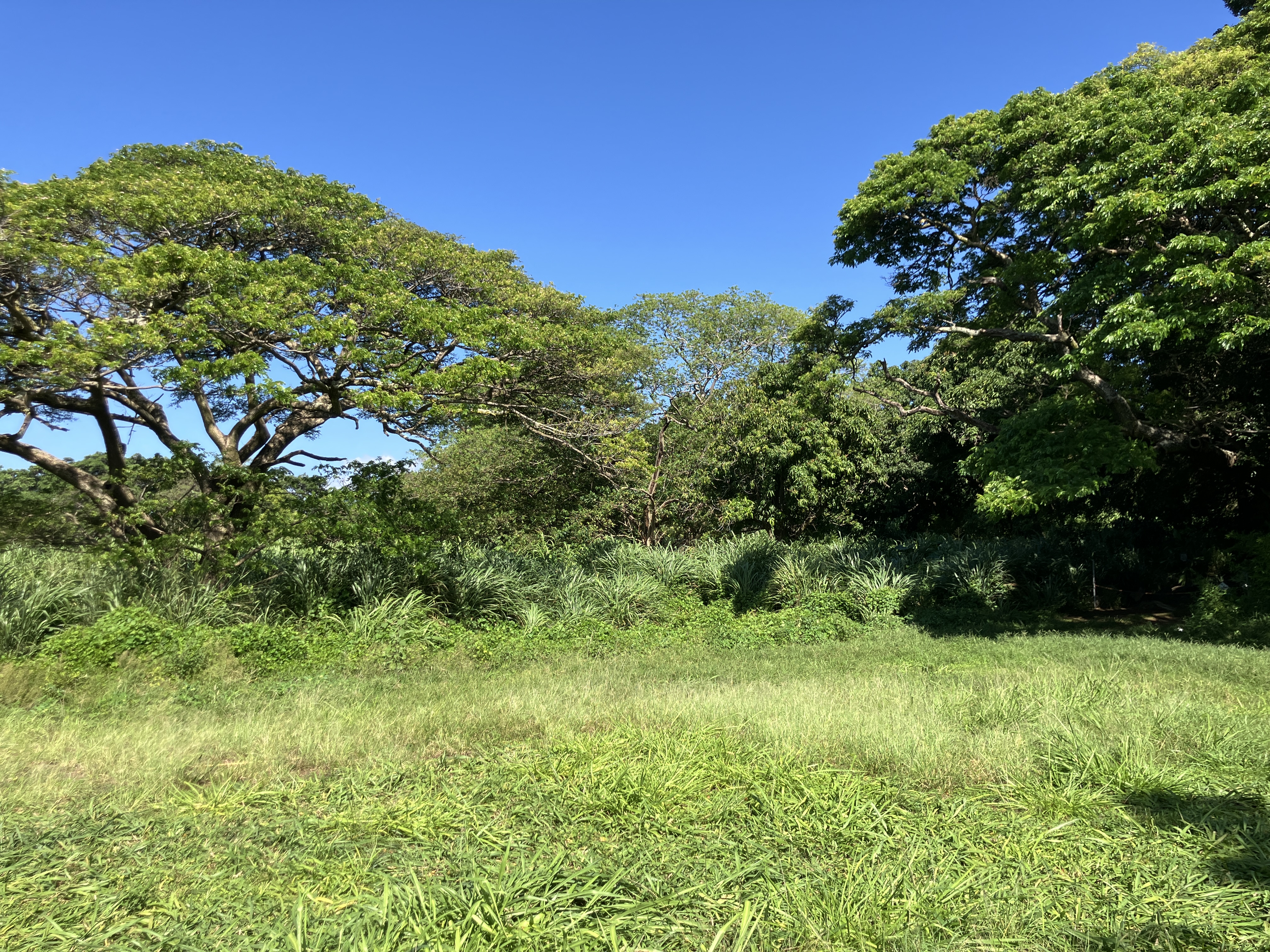 96-2951 Paauau St Property Photo 15