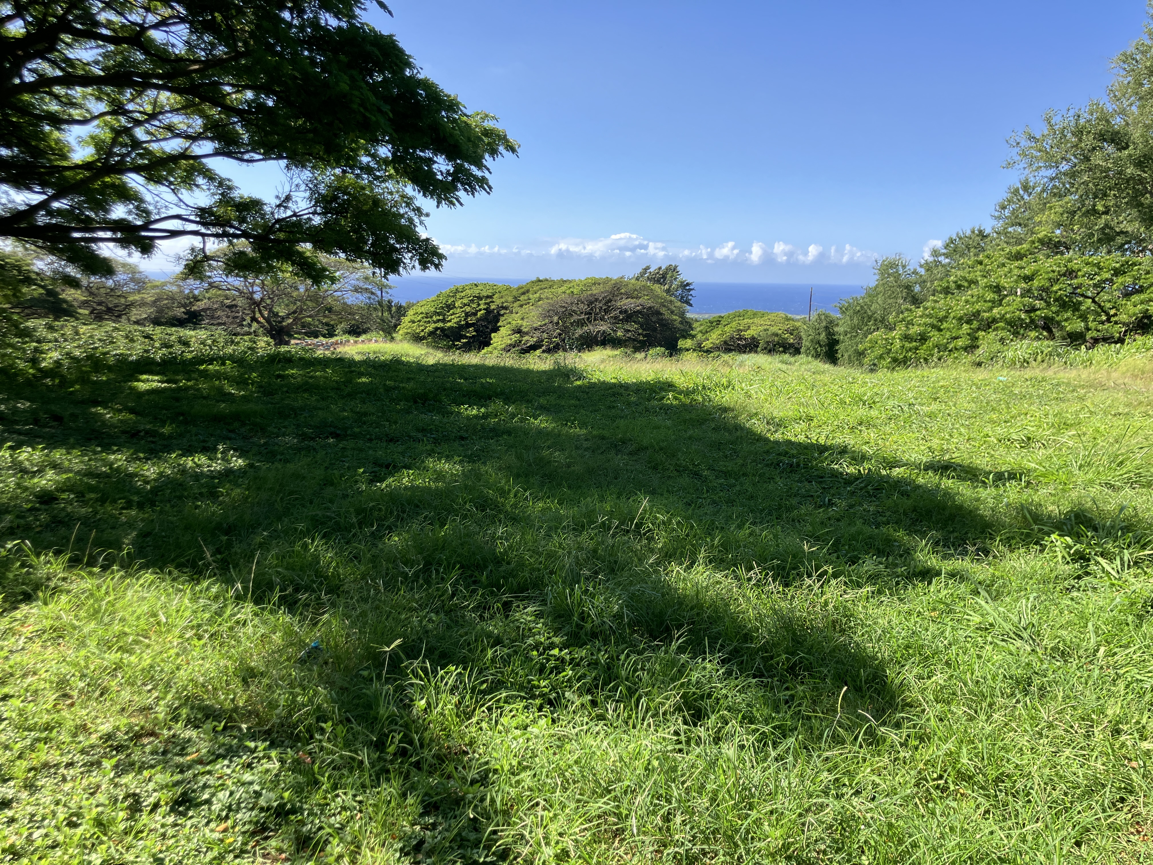96-2951 Paauau St Property Photo 22