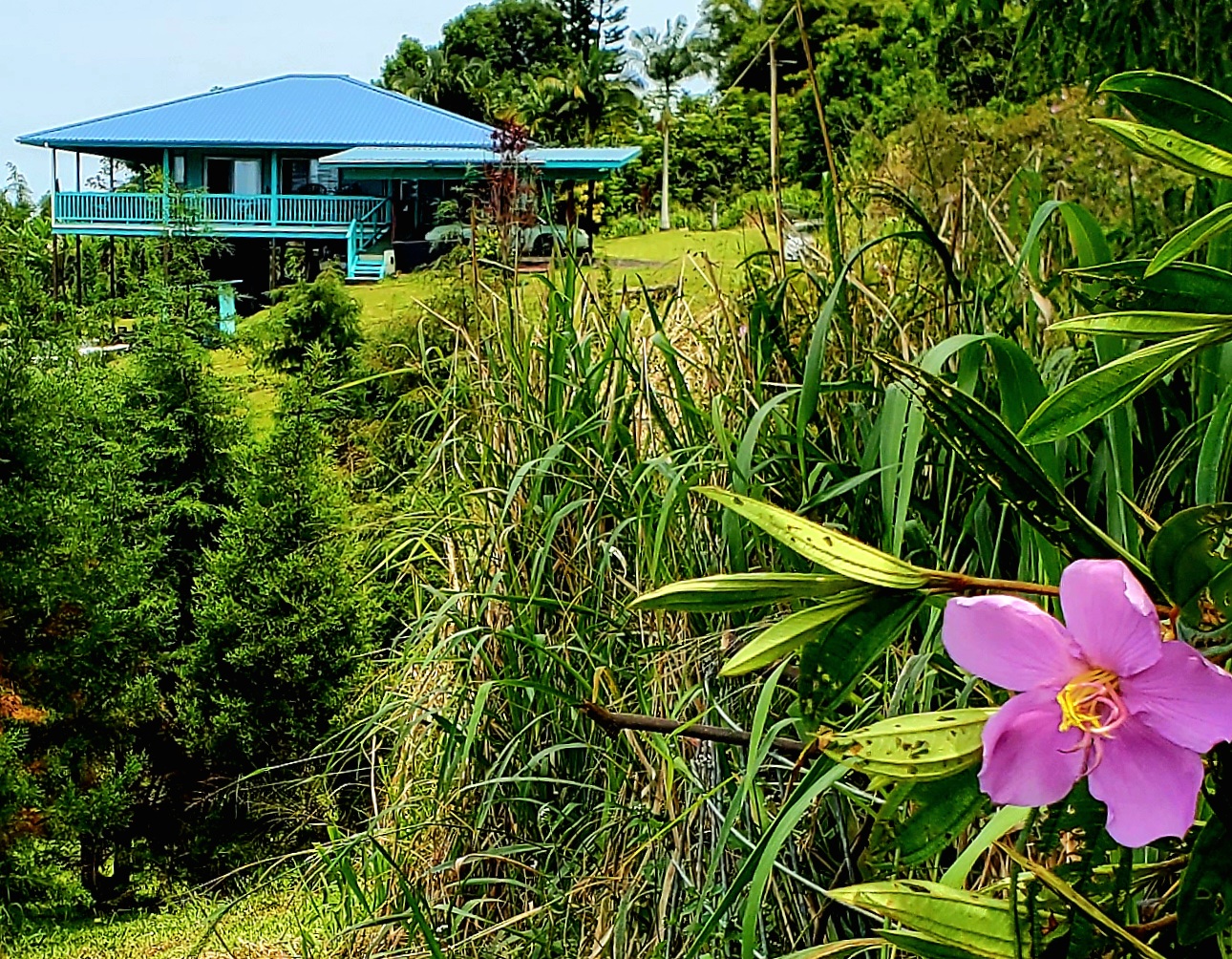 32-122 Piha Kahuku Rd 4 Property Photo 3
