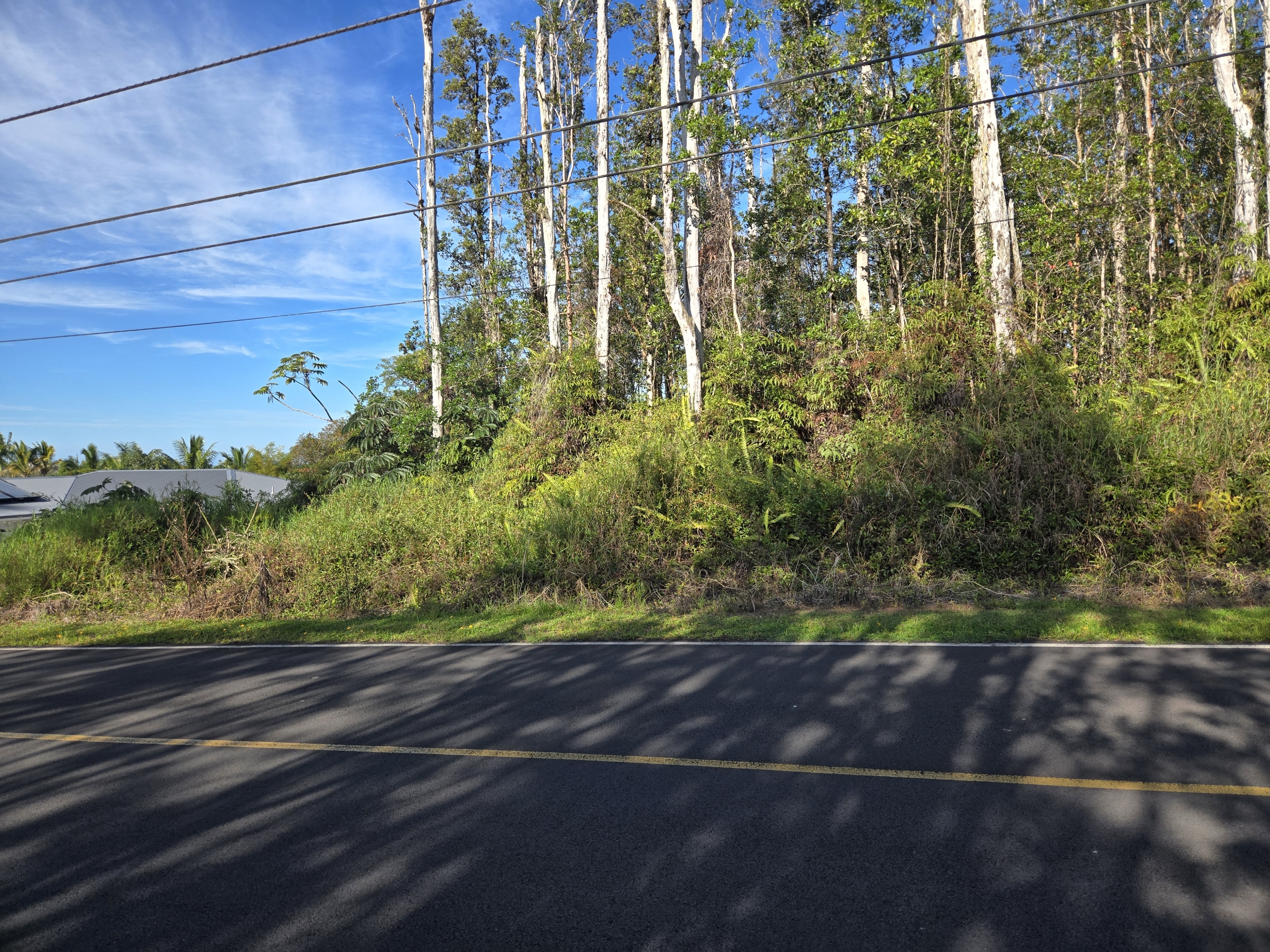 HIBISCUS DR