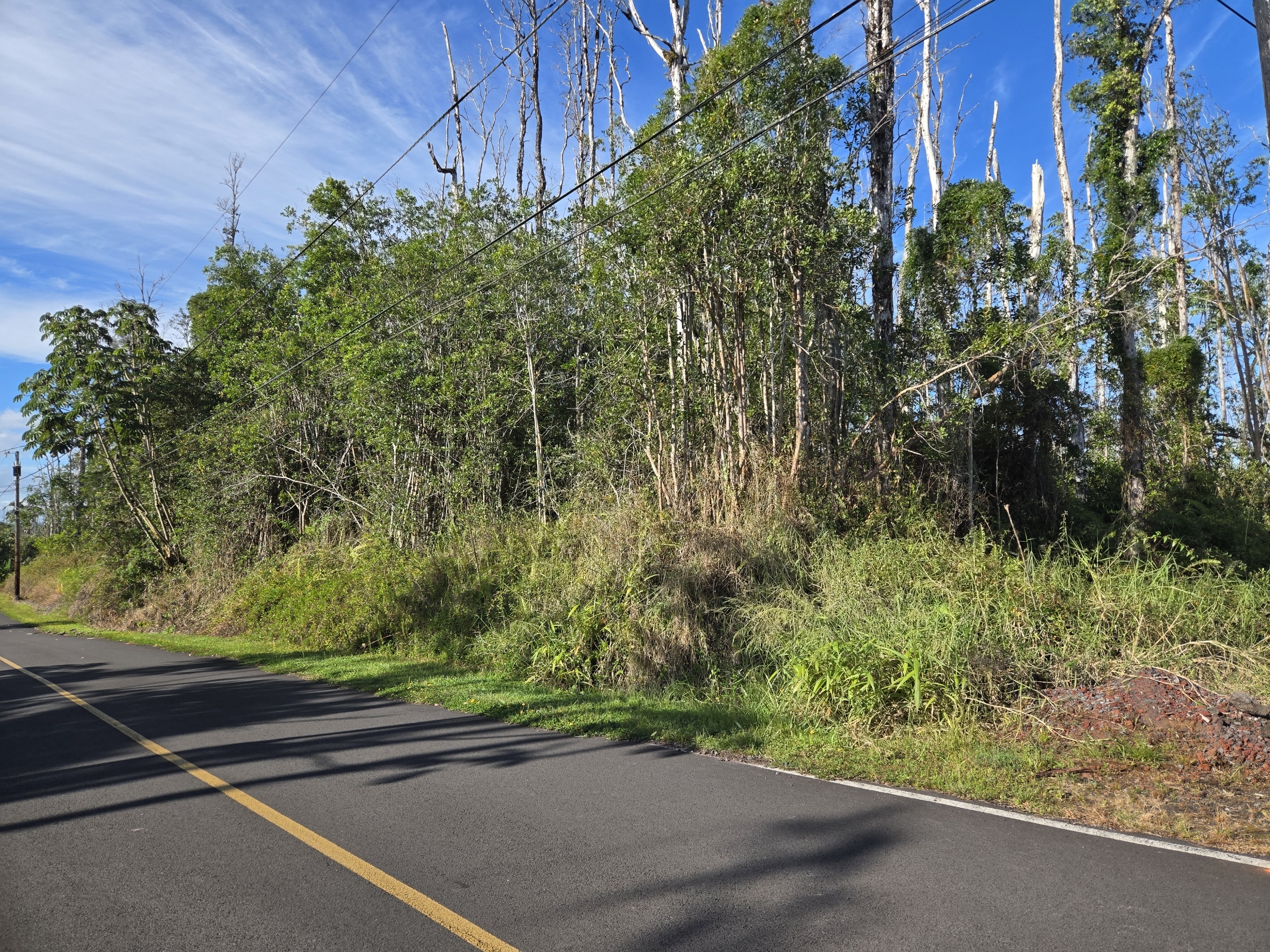 Hibiscus Dr Property Photo 2