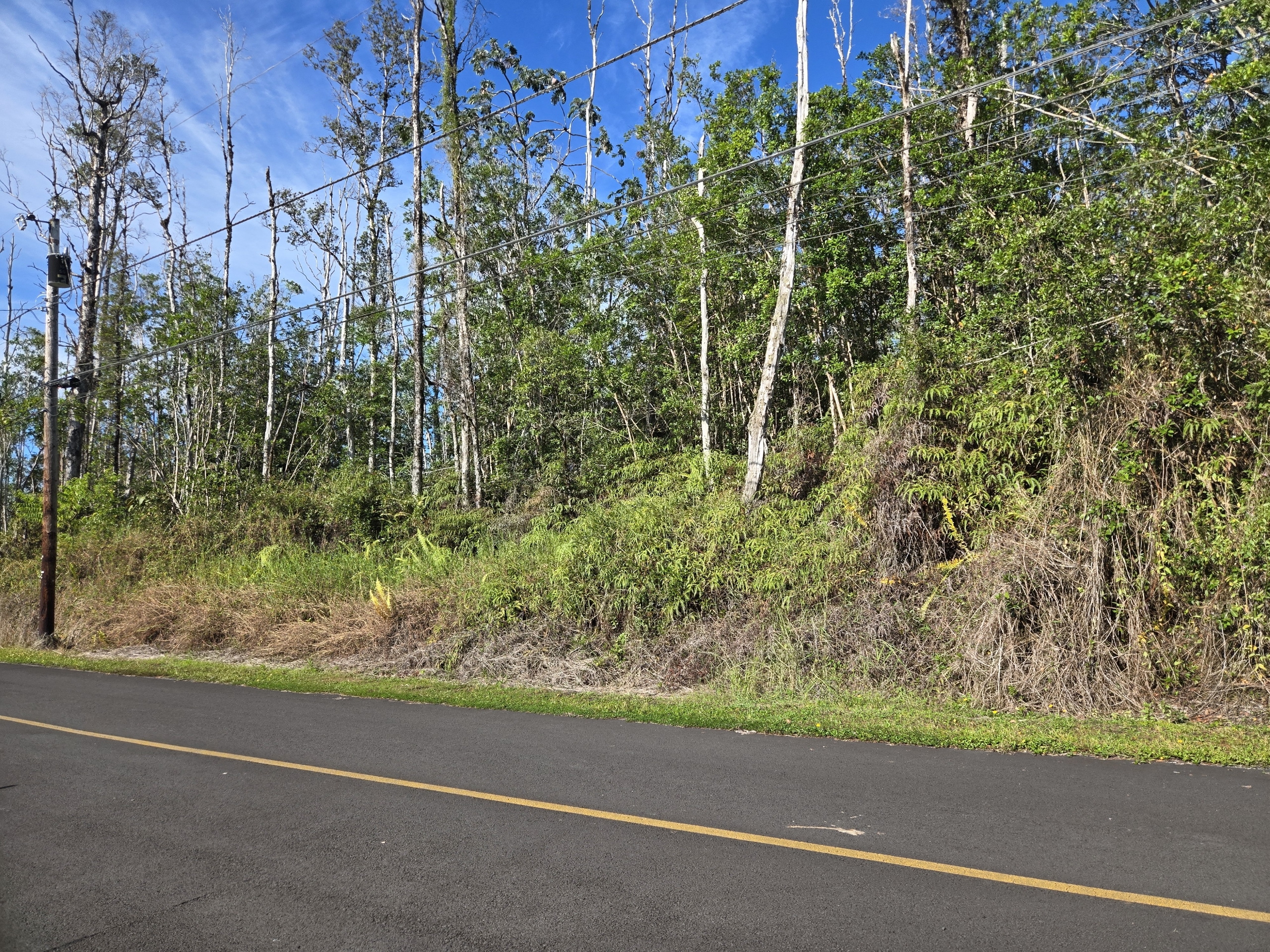 Hibiscus Dr Property Photo 3