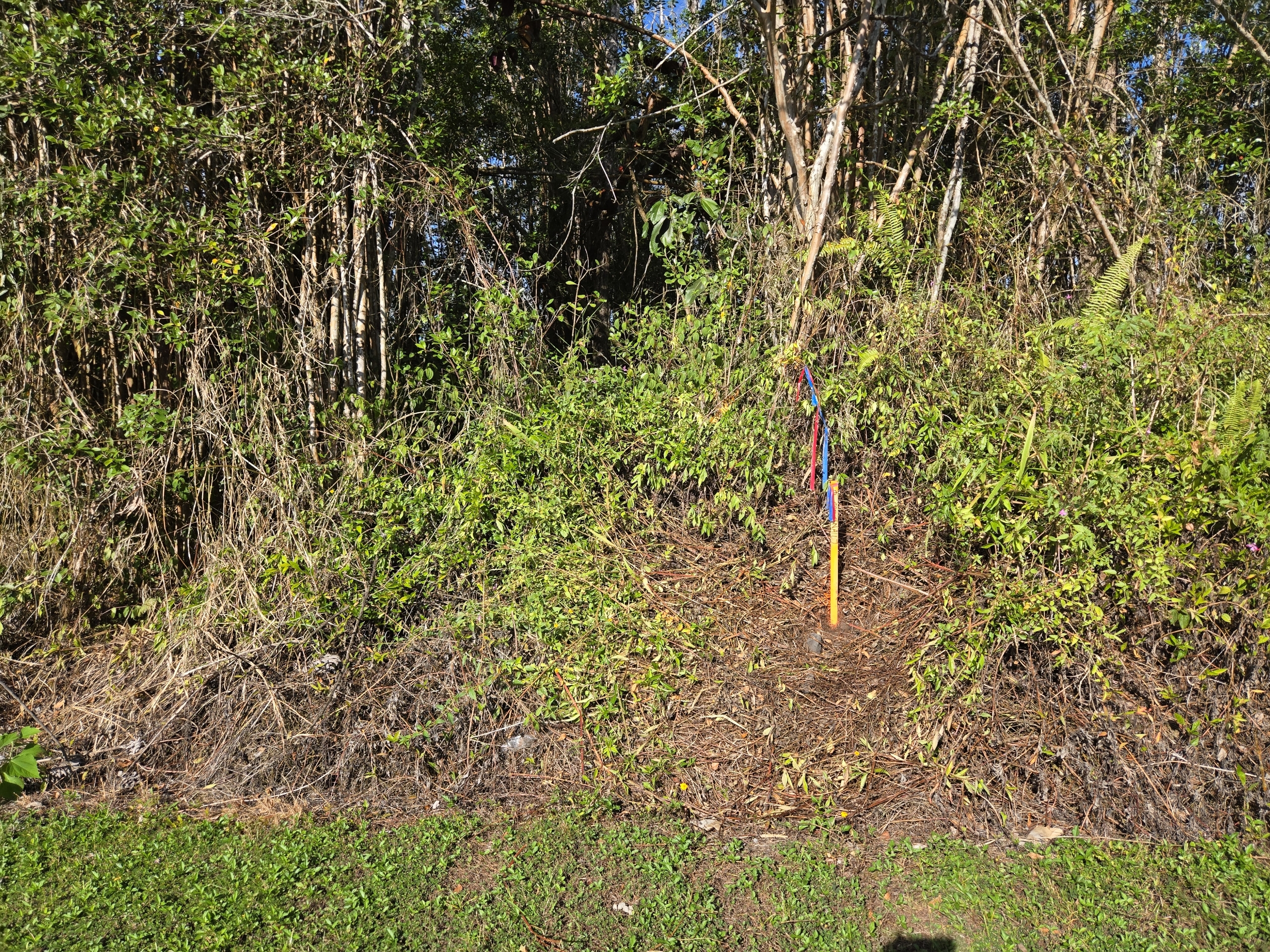Hibiscus Dr Property Photo 5