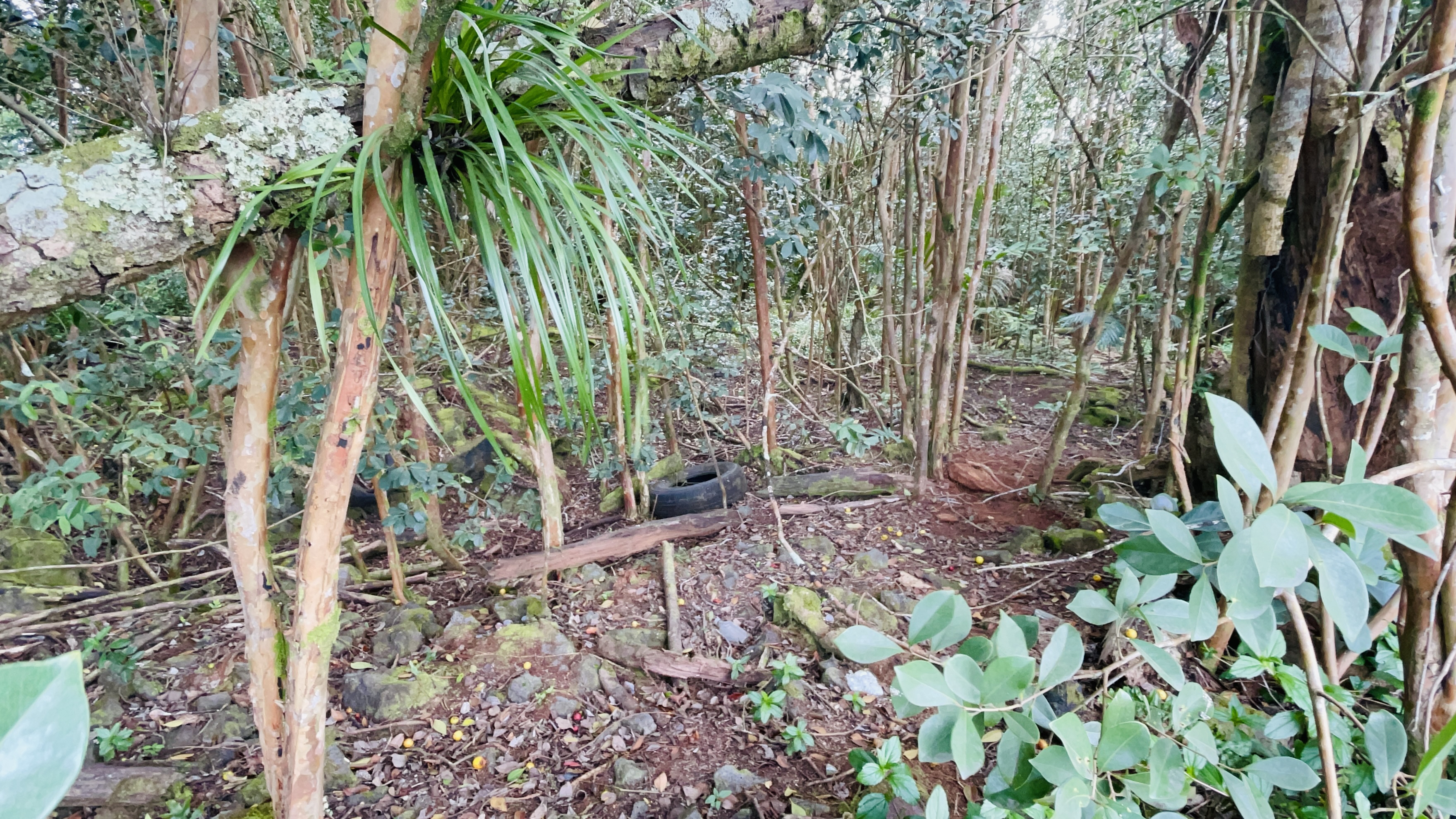 16th Ave Property Photo 21