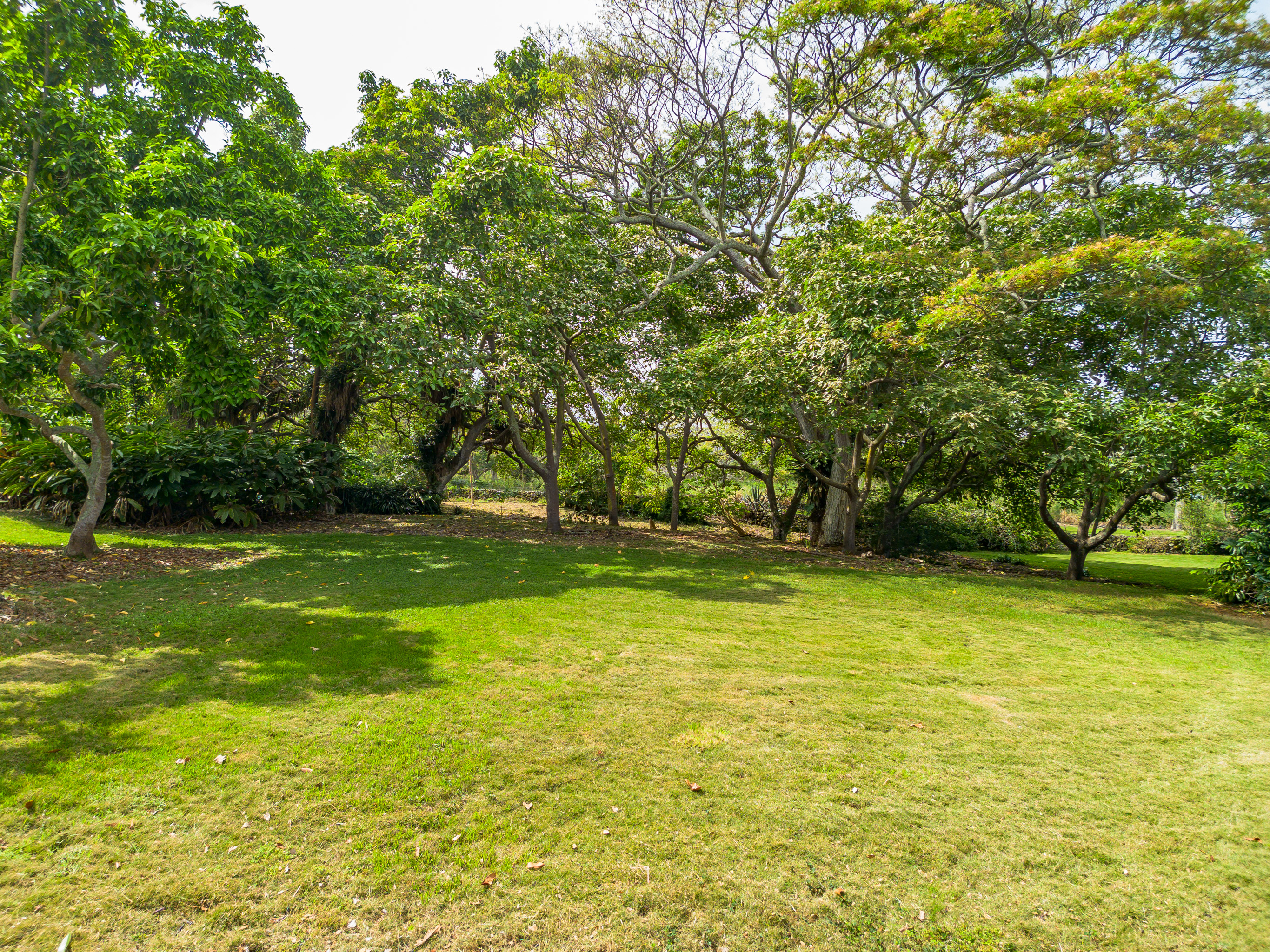 86-4190 Hookena Beach Rd Property Photo 18