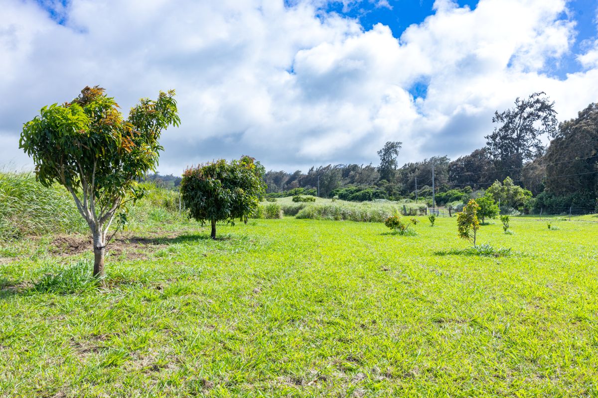 54-1749 Paipo Kane Rd Property Photo 3