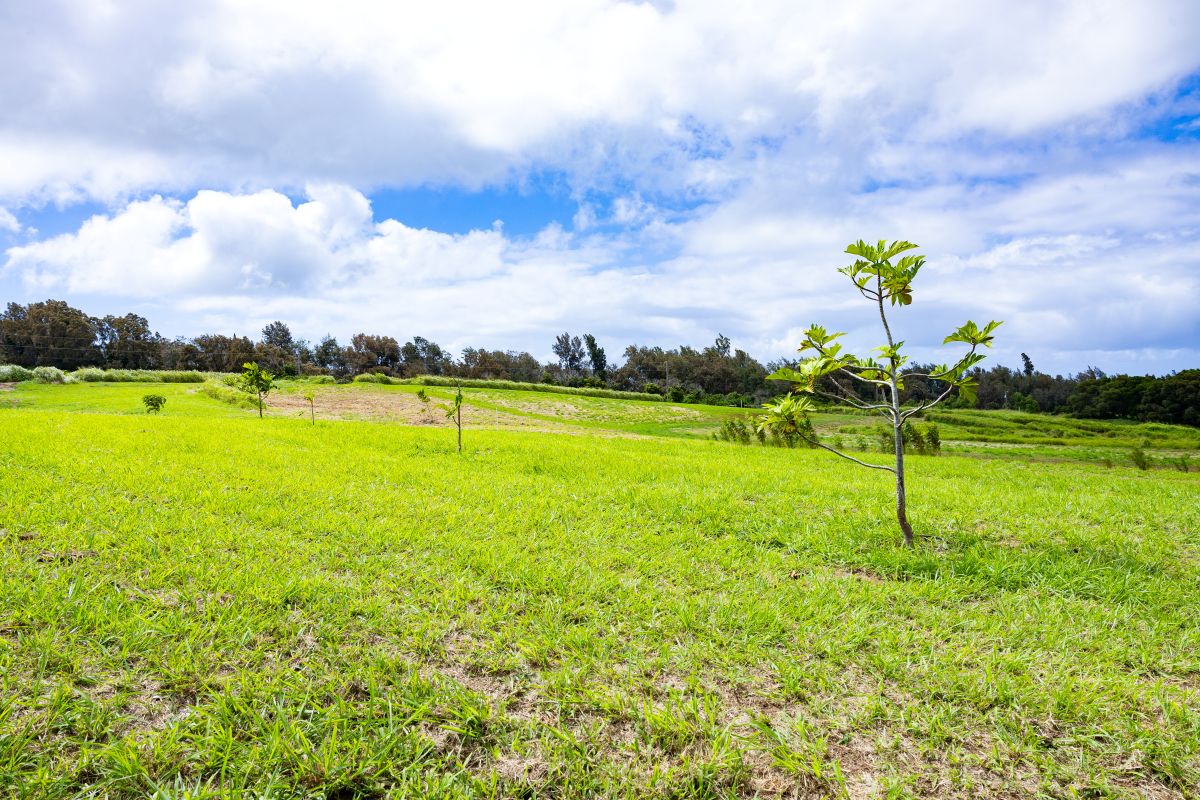 54-1749 Paipo Kane Rd Property Photo 7