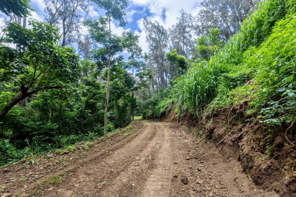 54-1749 Paipo Kane Rd Property Photo 11