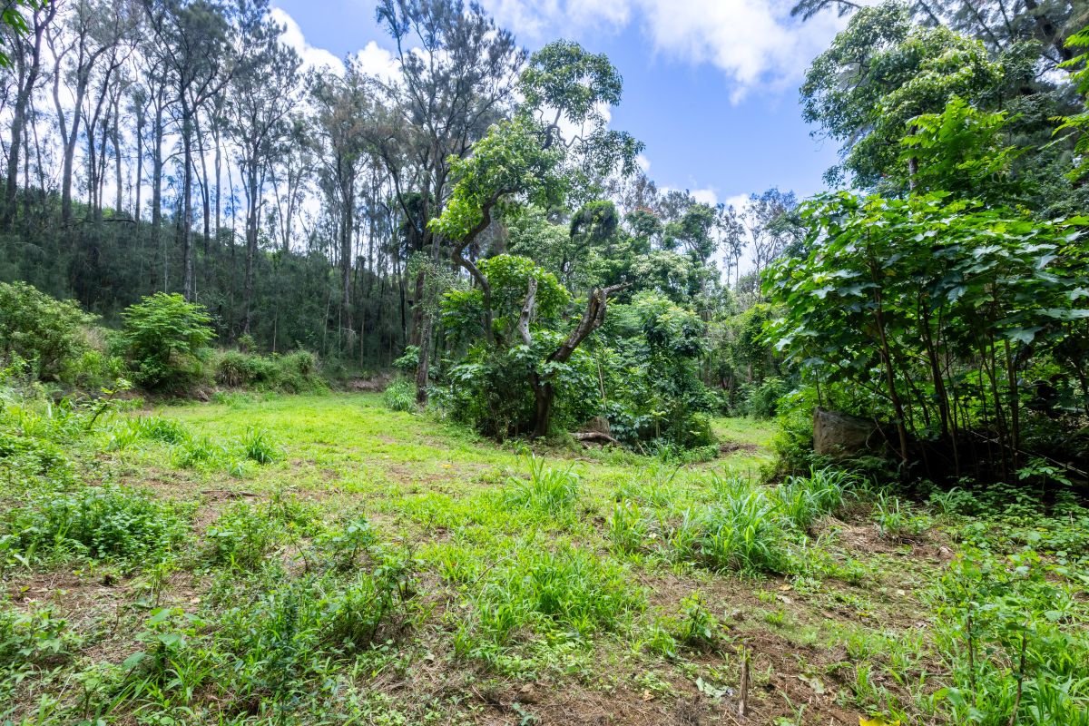 54-1749 Paipo Kane Rd Property Photo 12